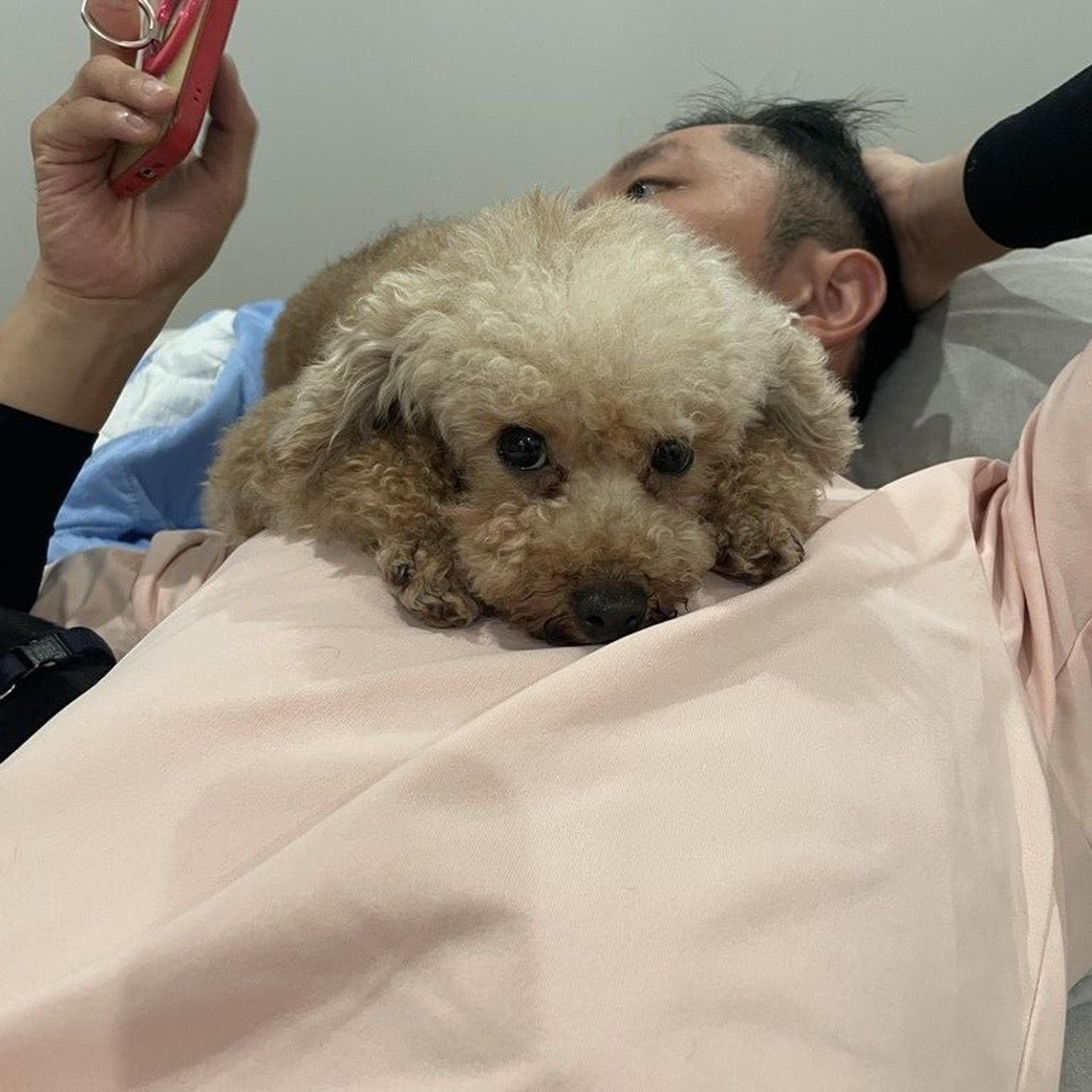 pet-image-6