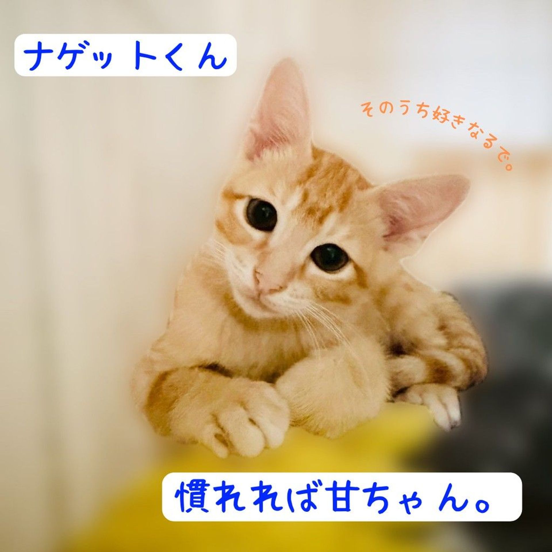 thumbnail-3
