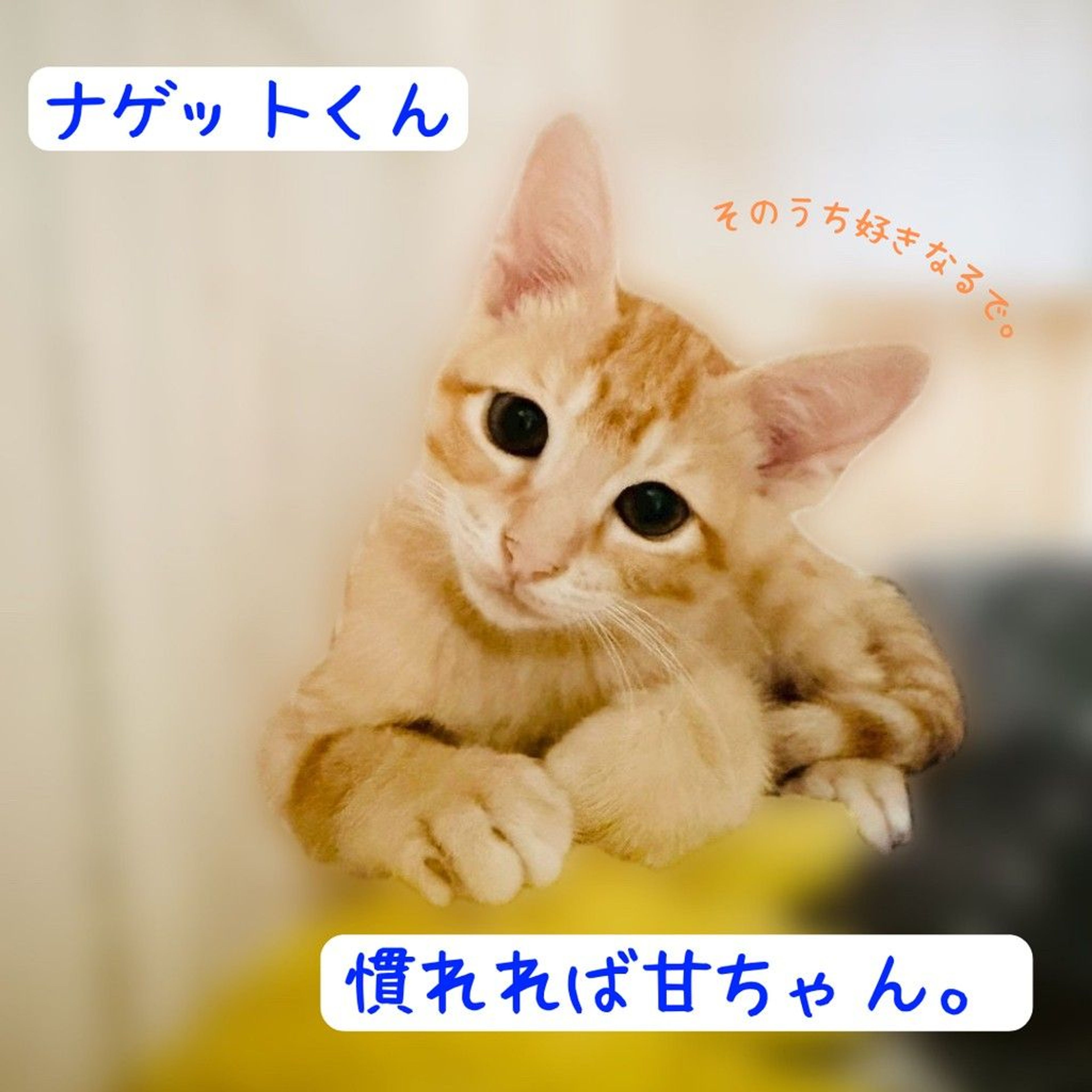thumbnail-3