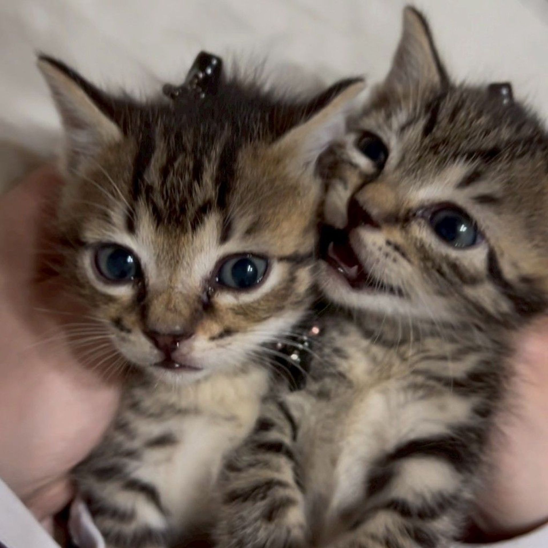 thumbnail-10