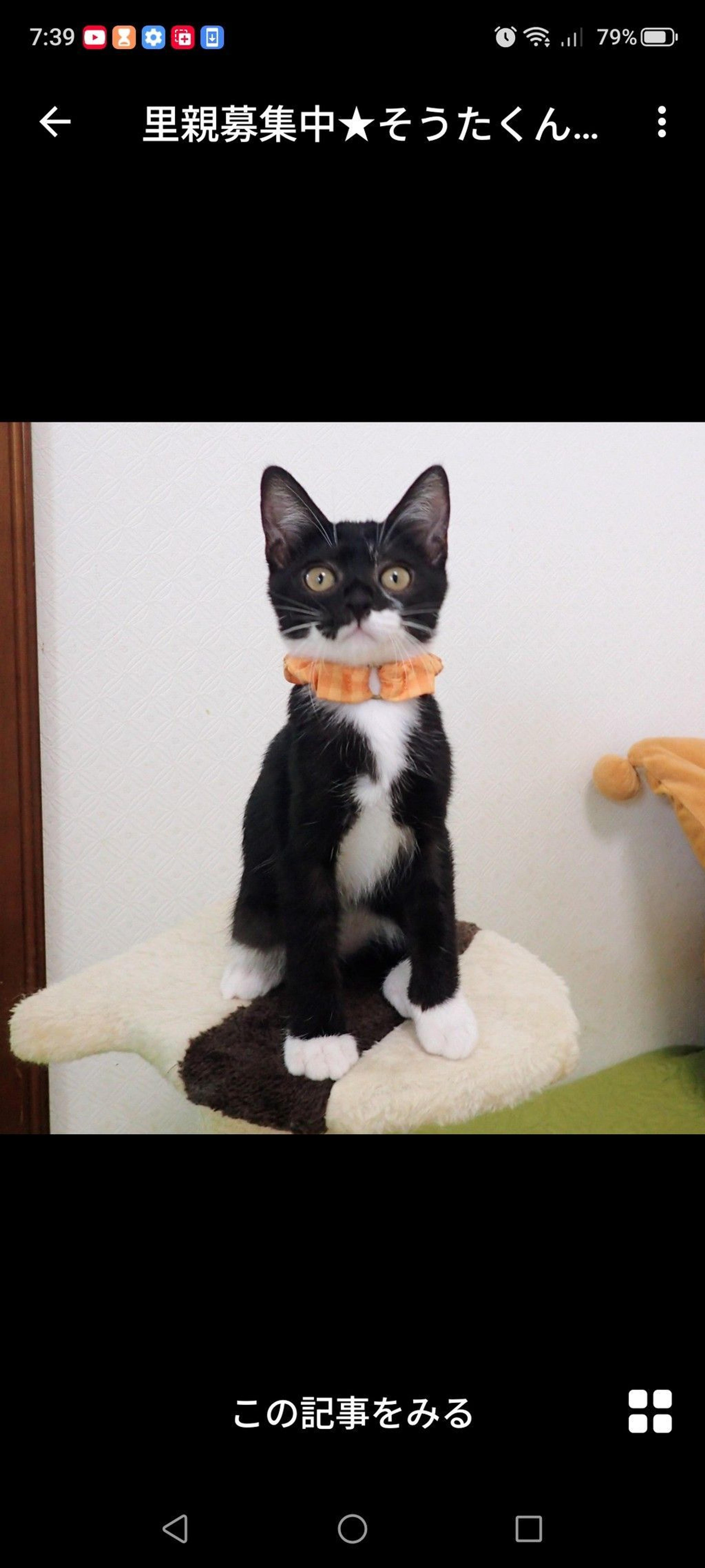 pet-image-3
