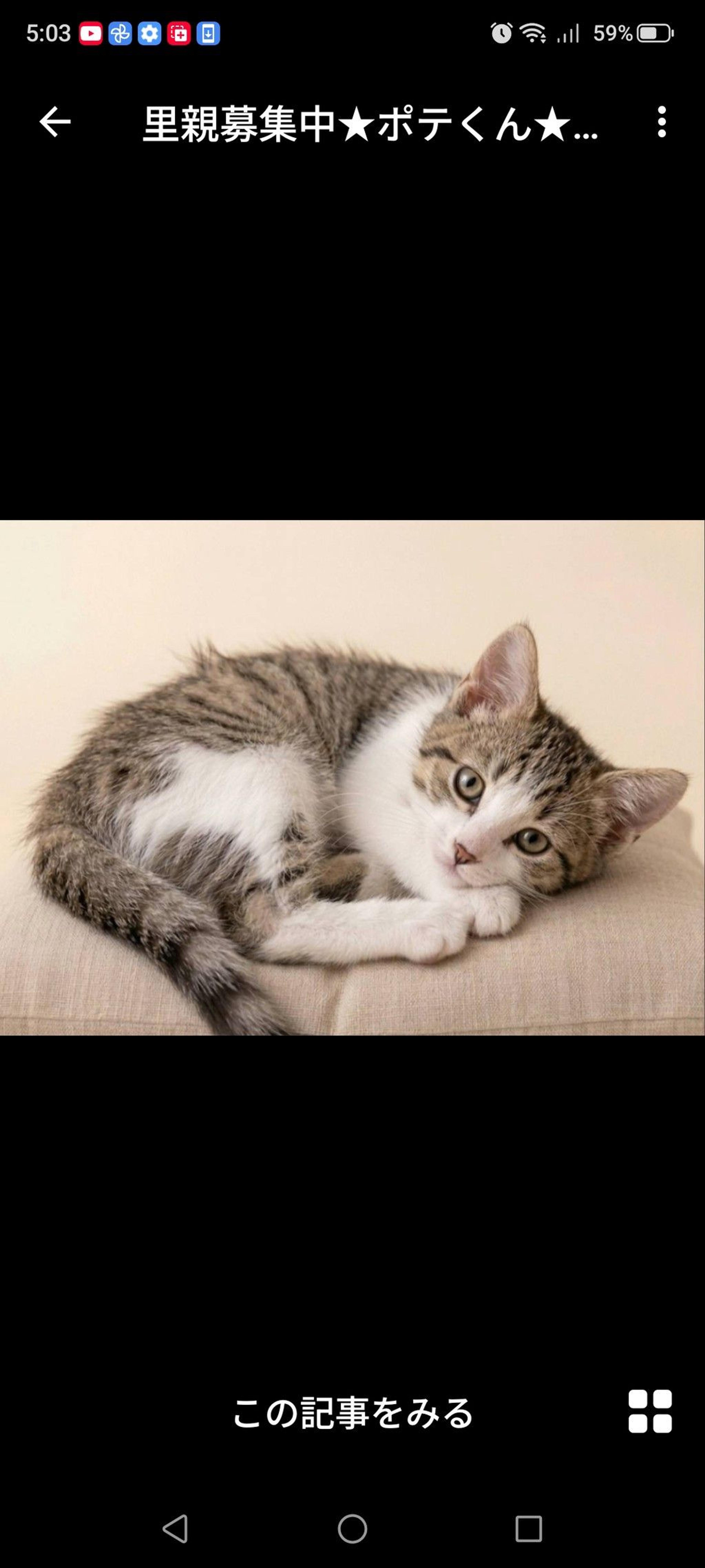 pet-image-3