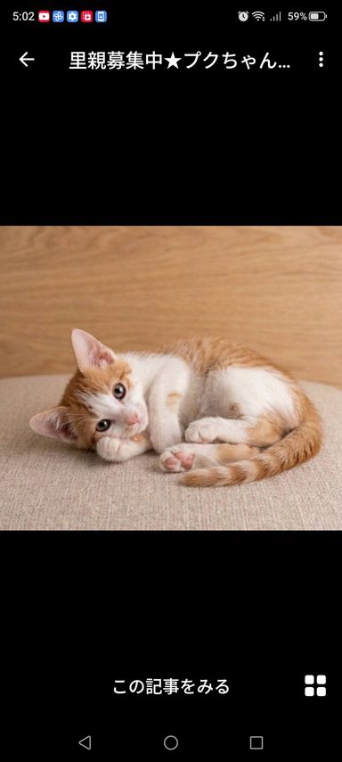 プクちゃんの写真