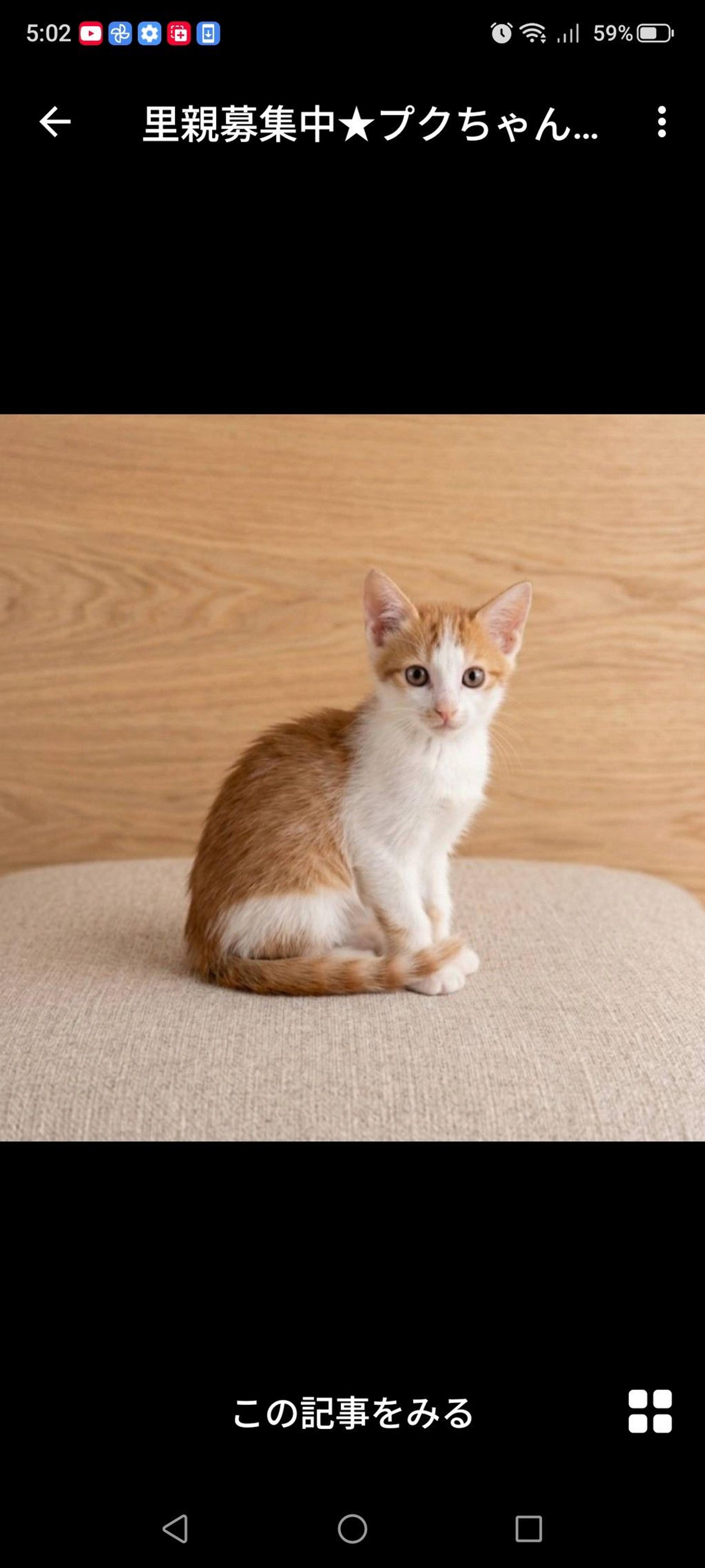 pet-image-2