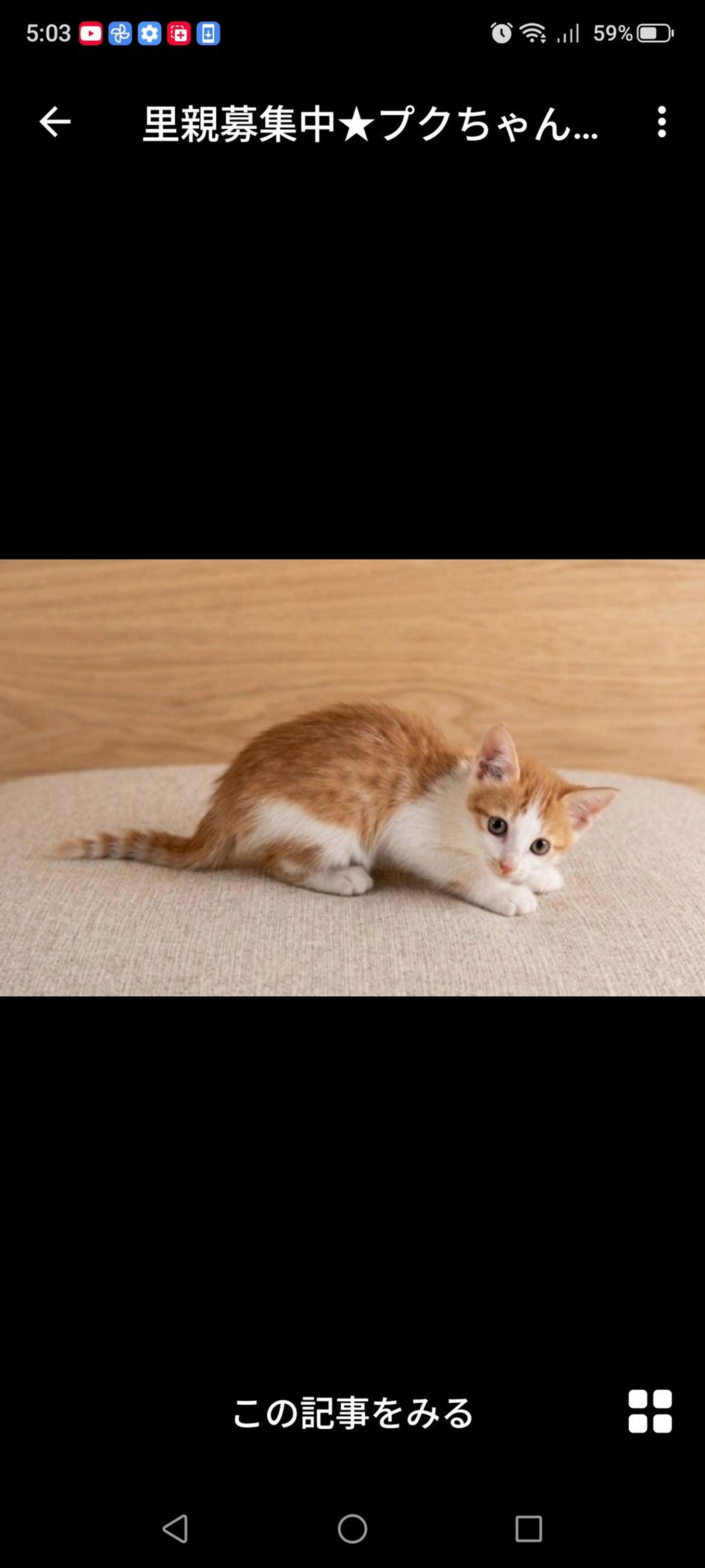 pet-image-3