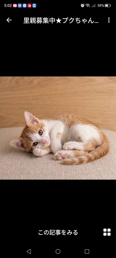 プクちゃんの写真