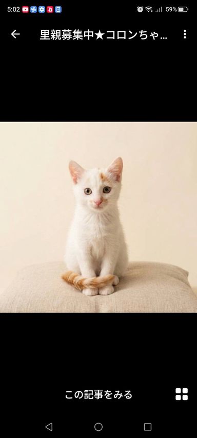 コロンちゃんの写真