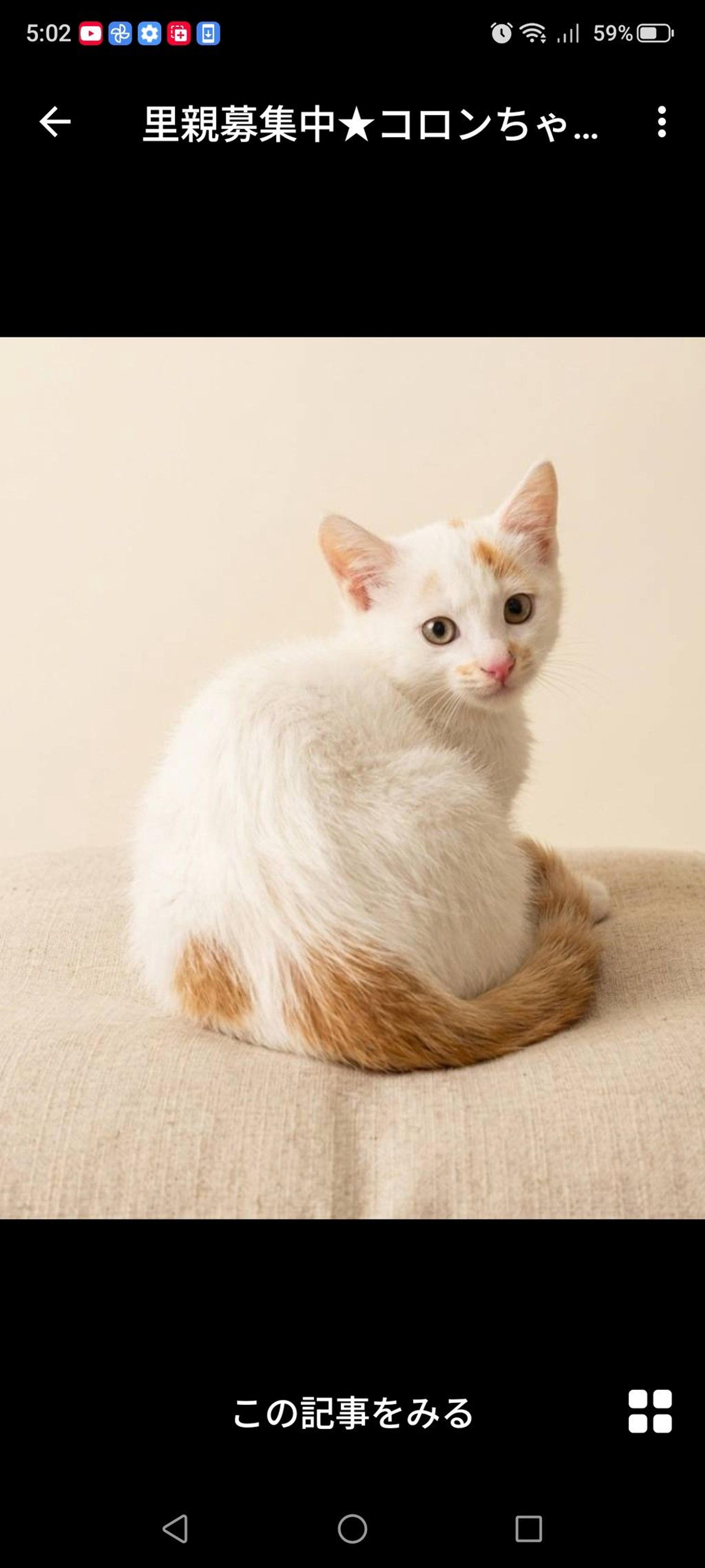 pet-image-2