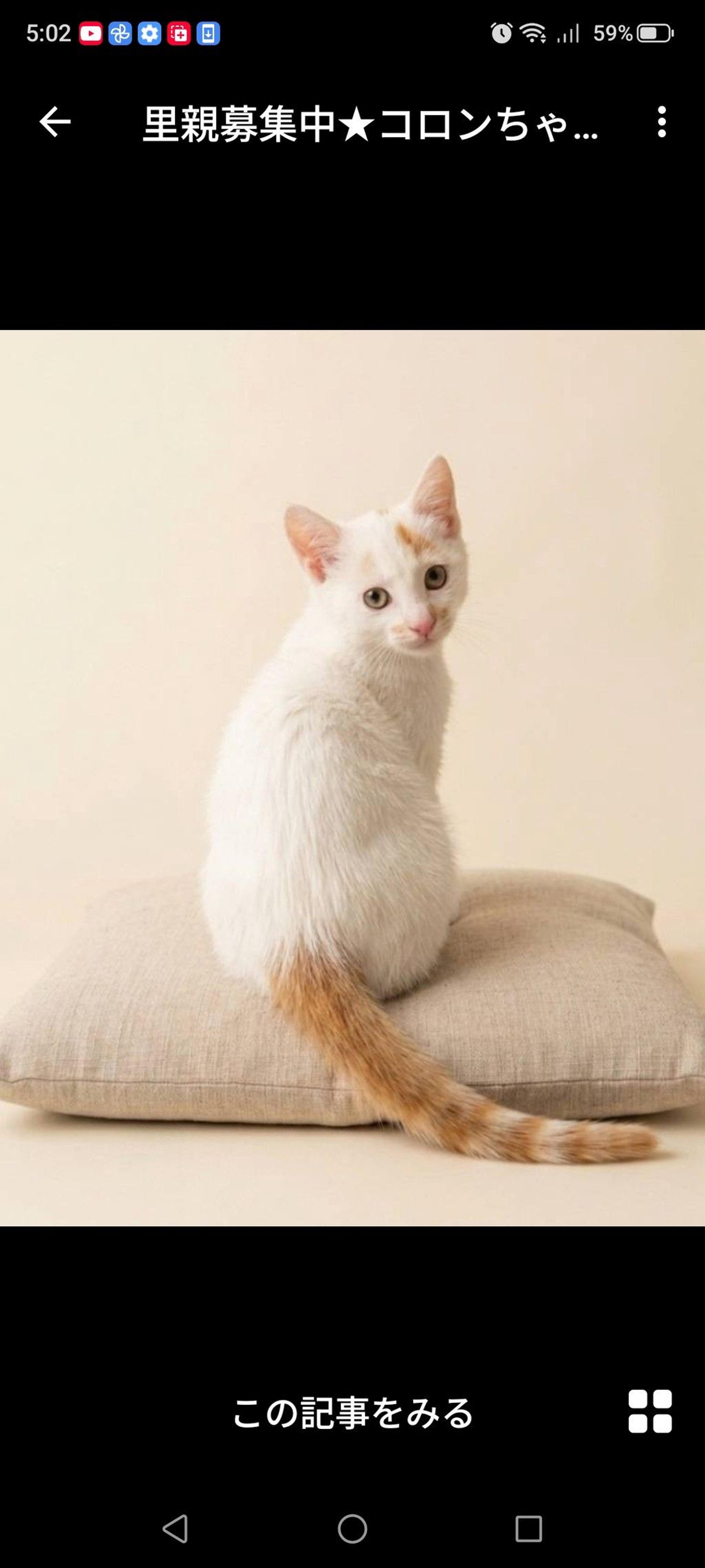 pet-image-3