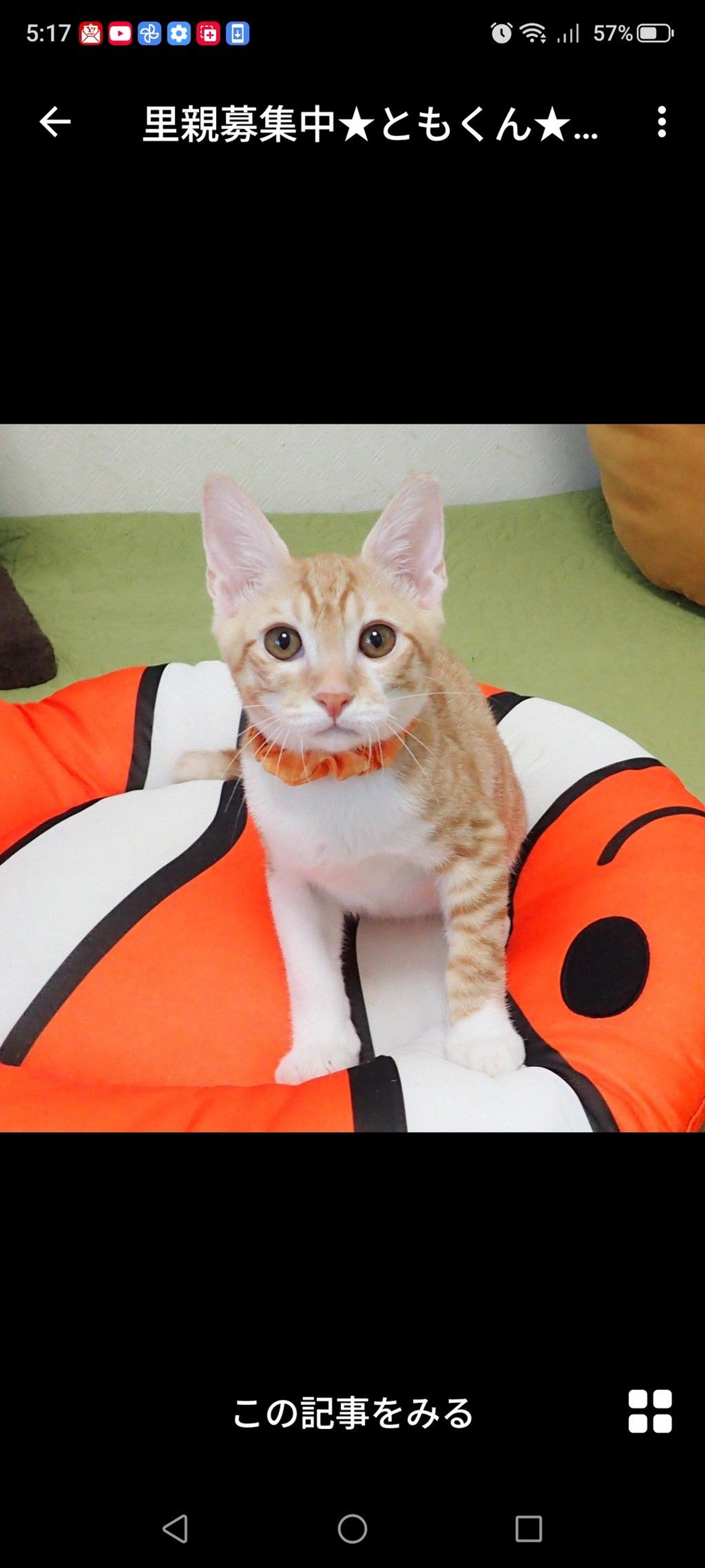 pet-image-2