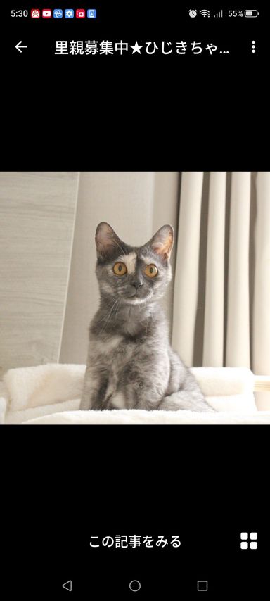 ひじきちゃんの写真