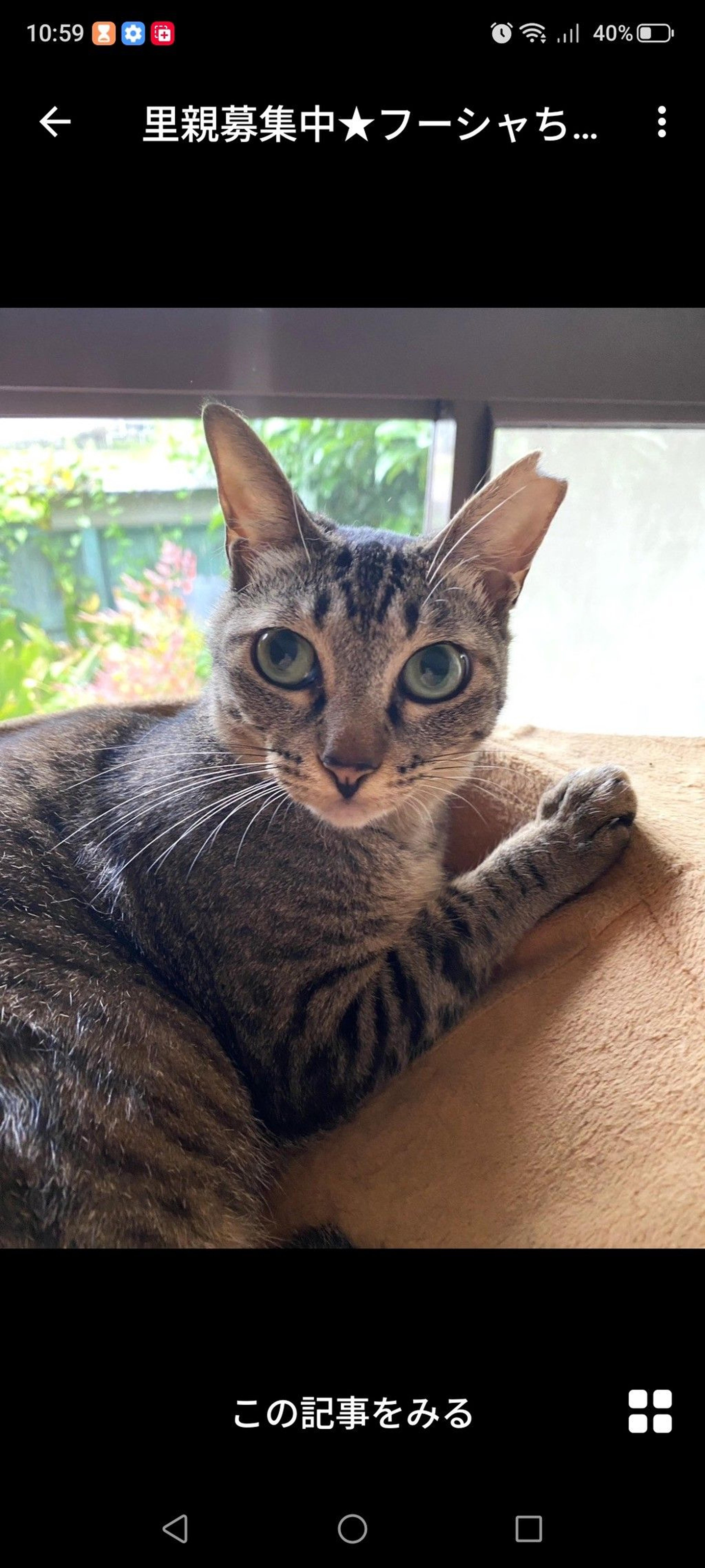 pet-image-2