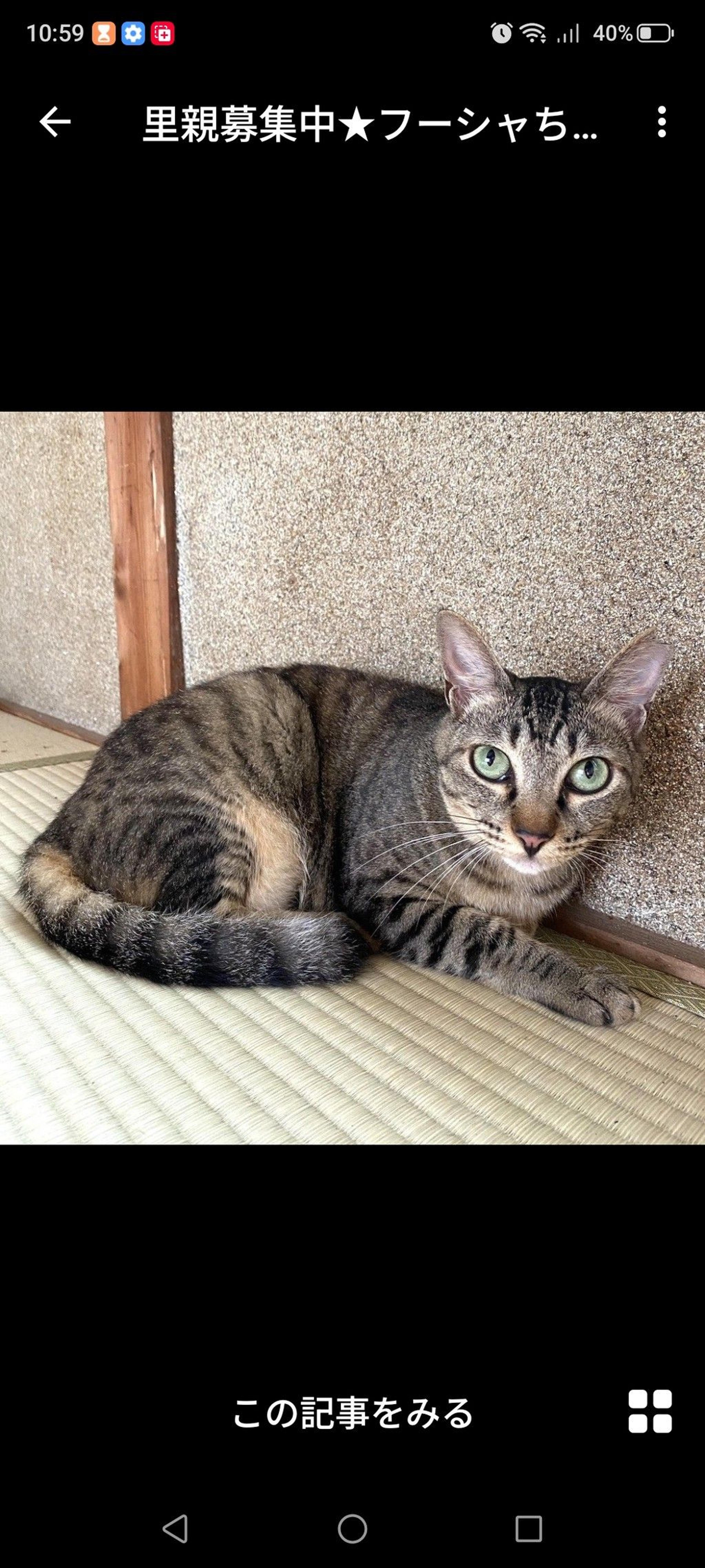pet-image-3