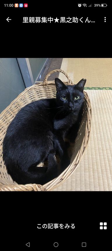 黒乃助くんの写真