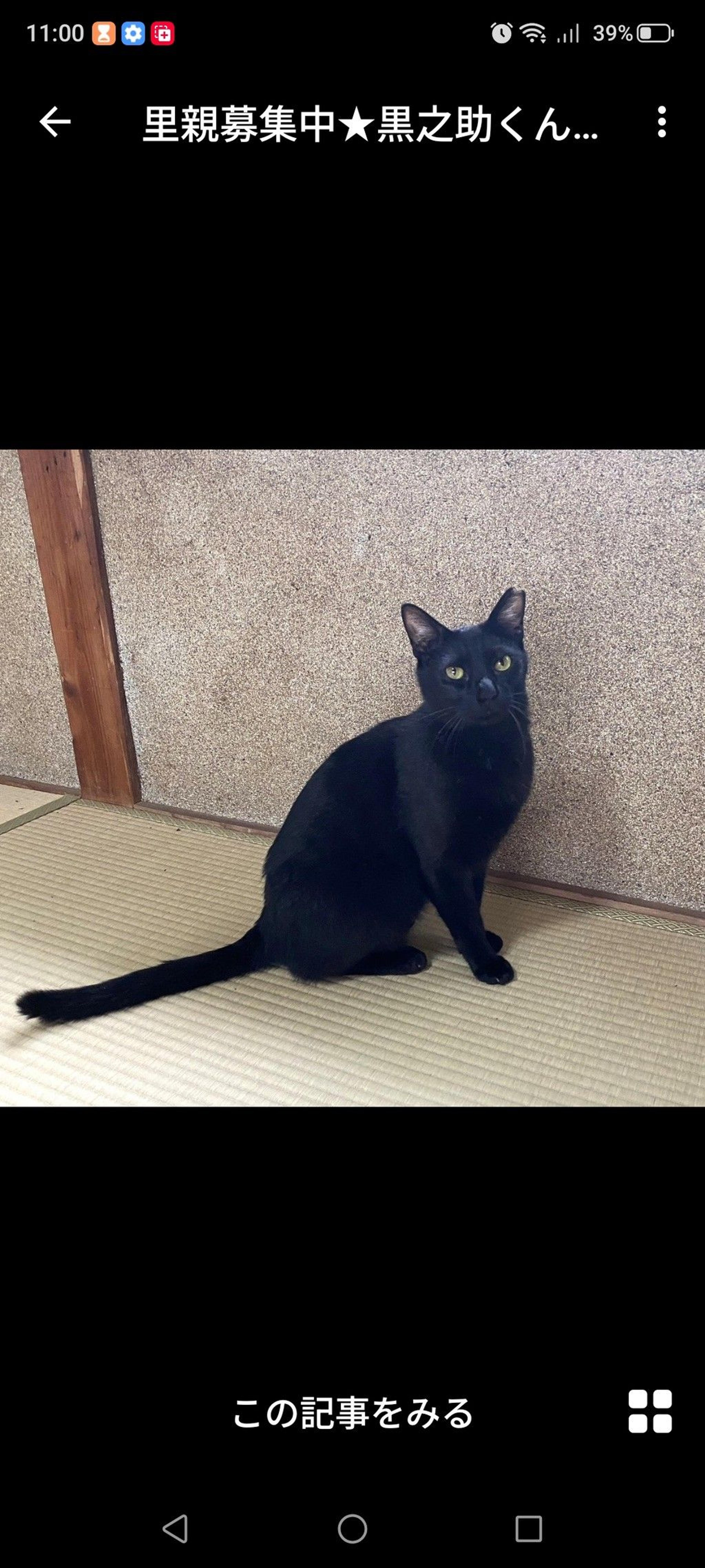 pet-image-3