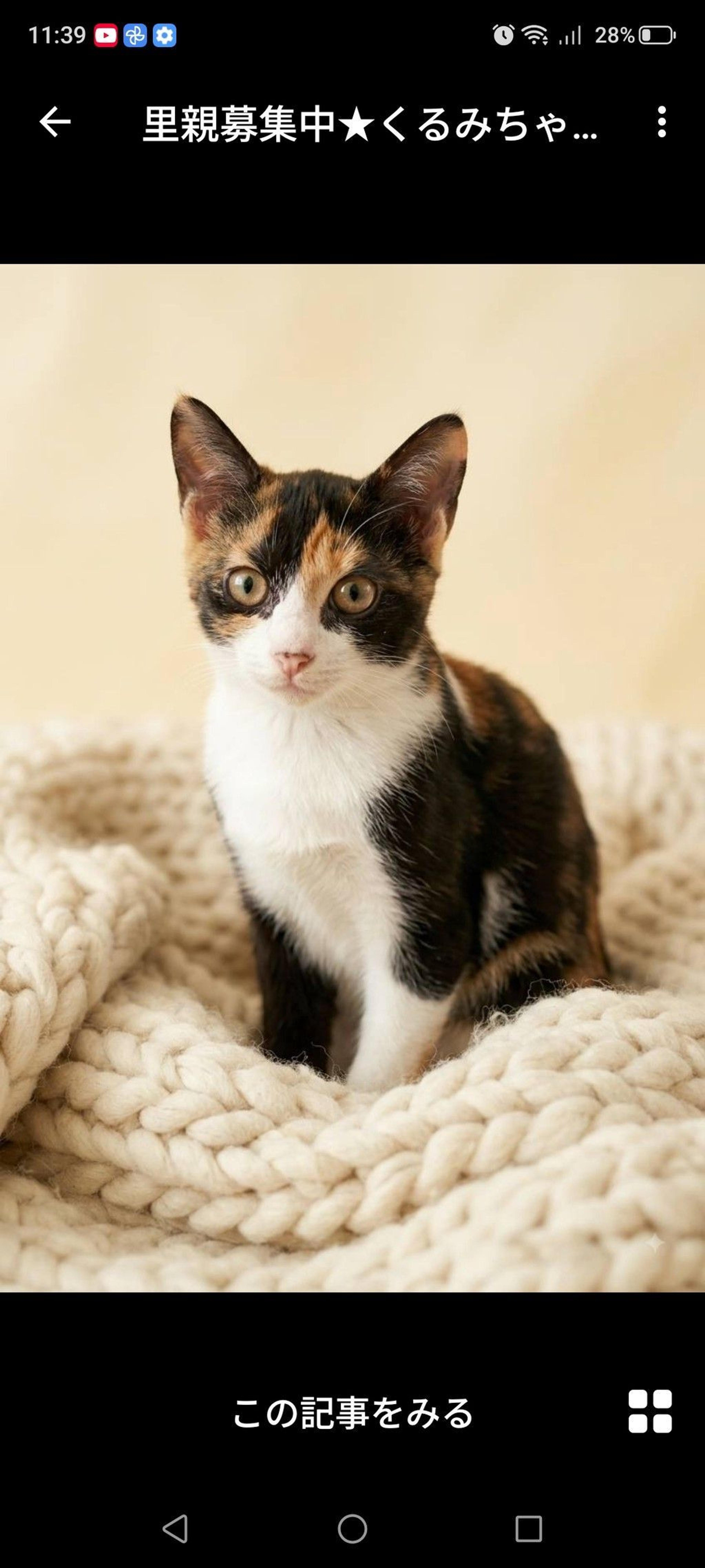 pet-image-2
