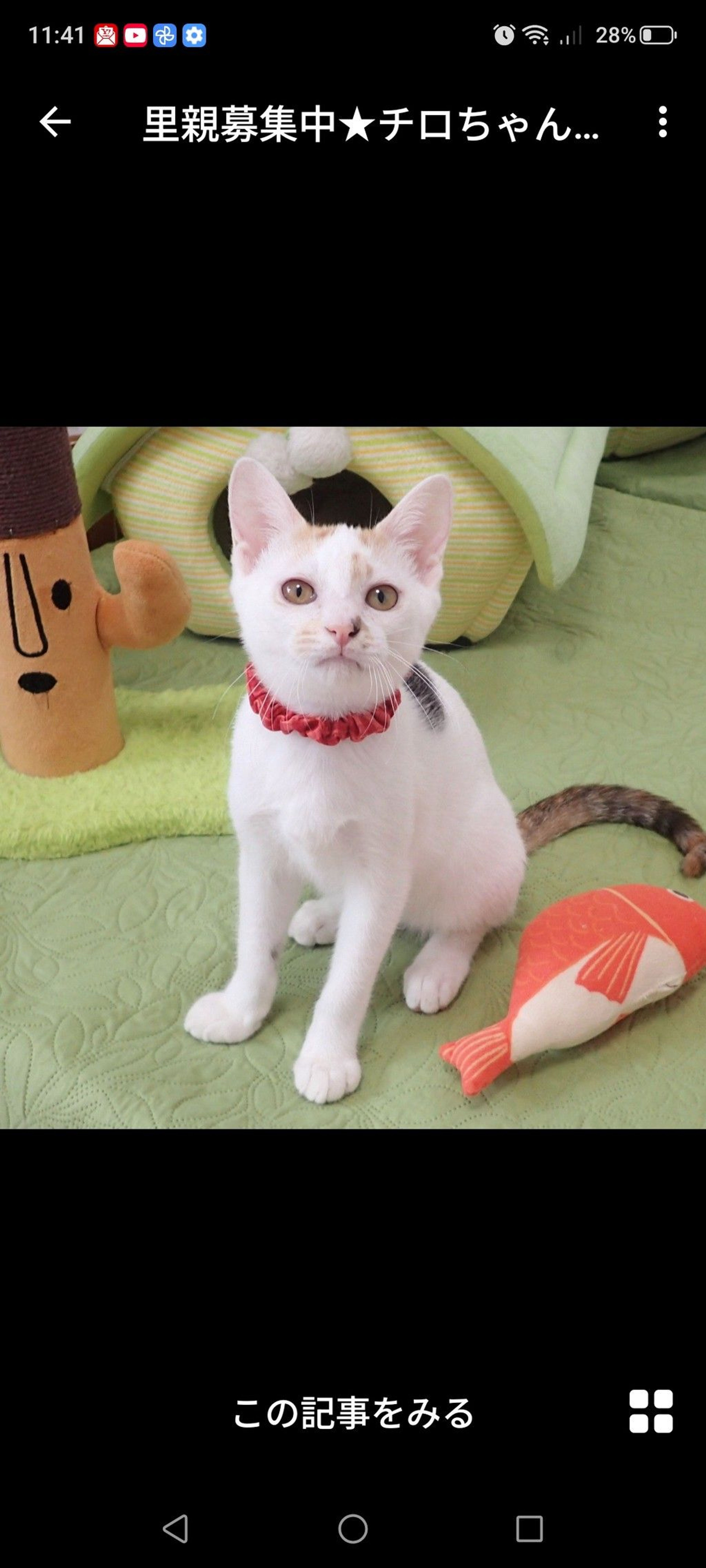 thumbnail-3