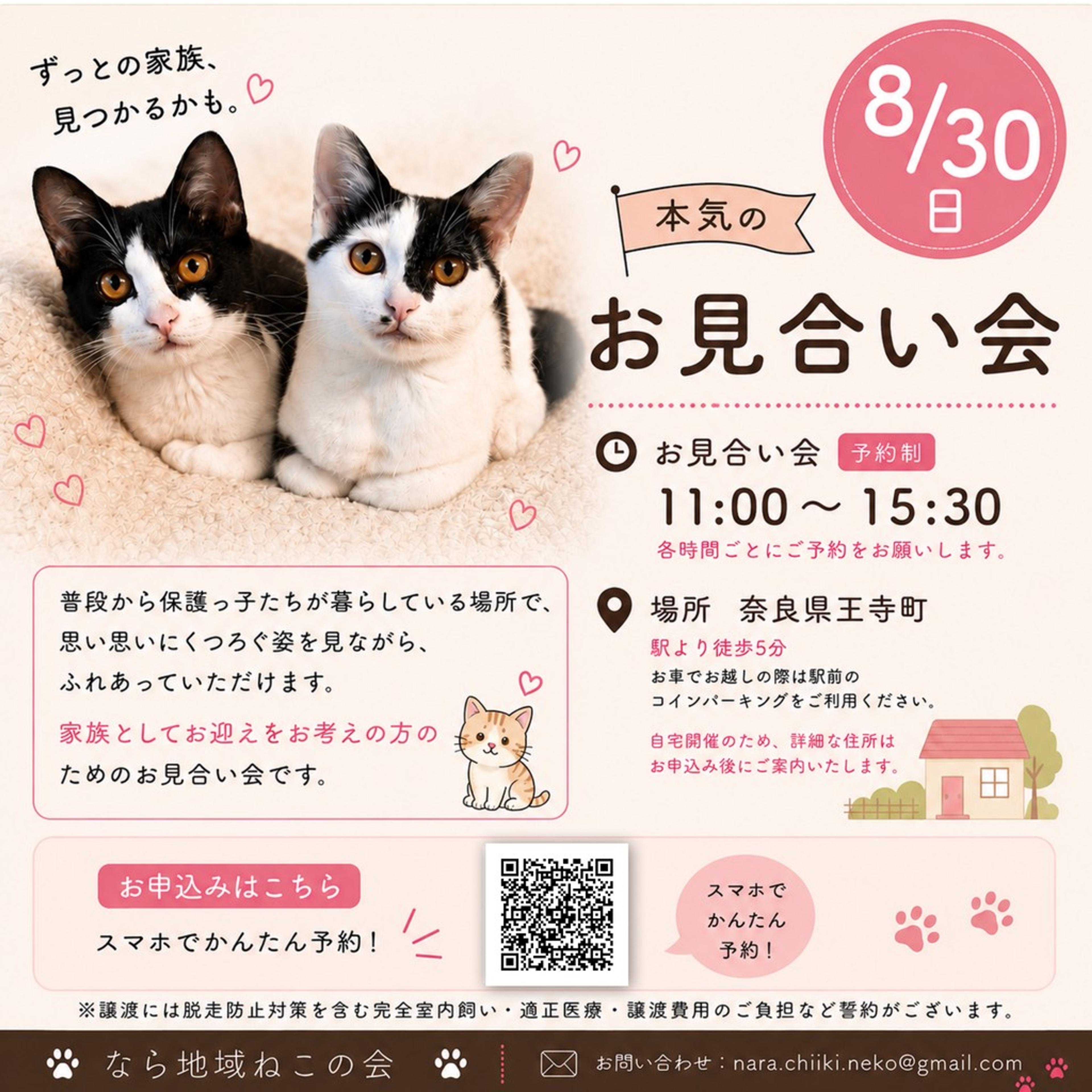 pet-image-5