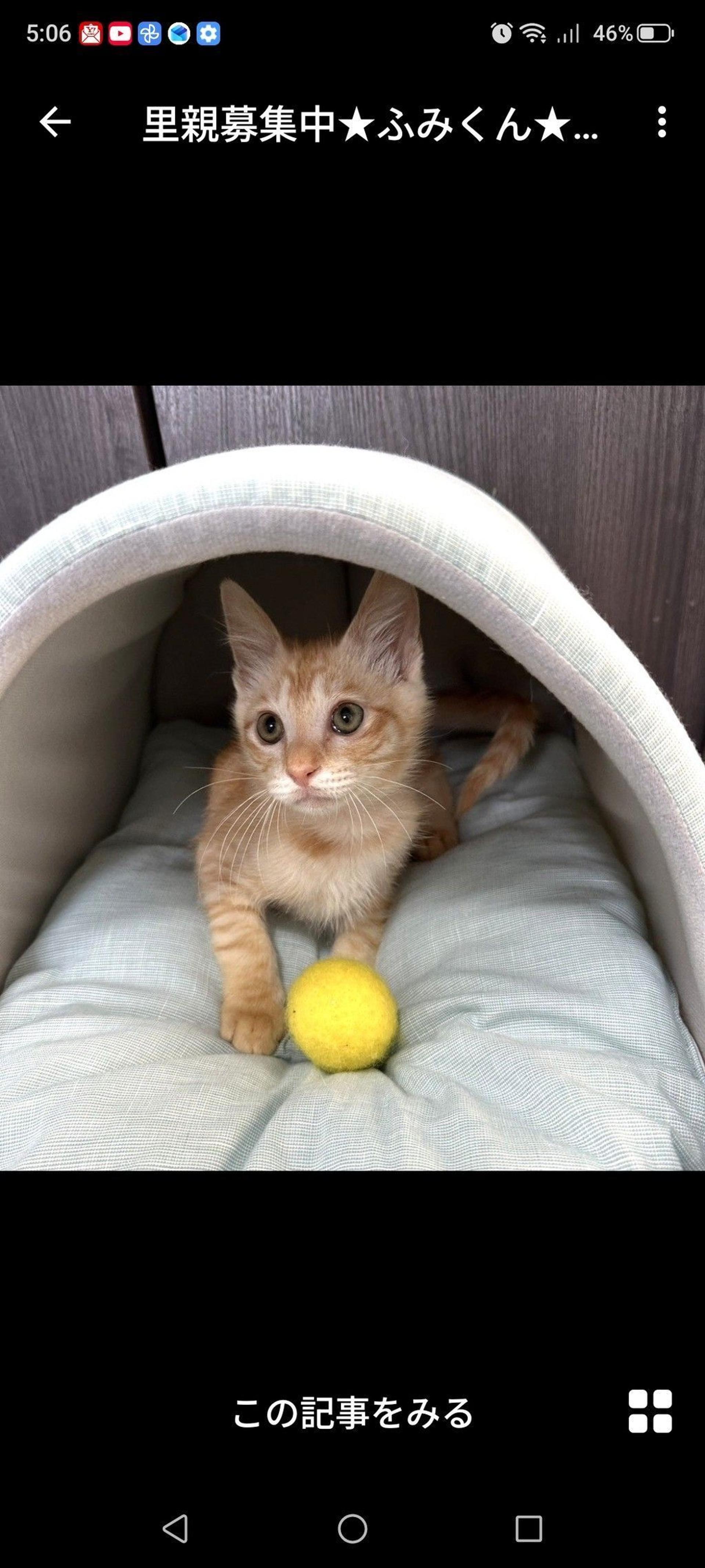 pet-image-2