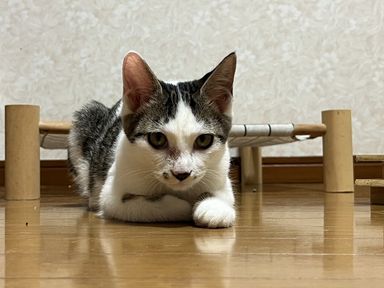 さぶろうの写真