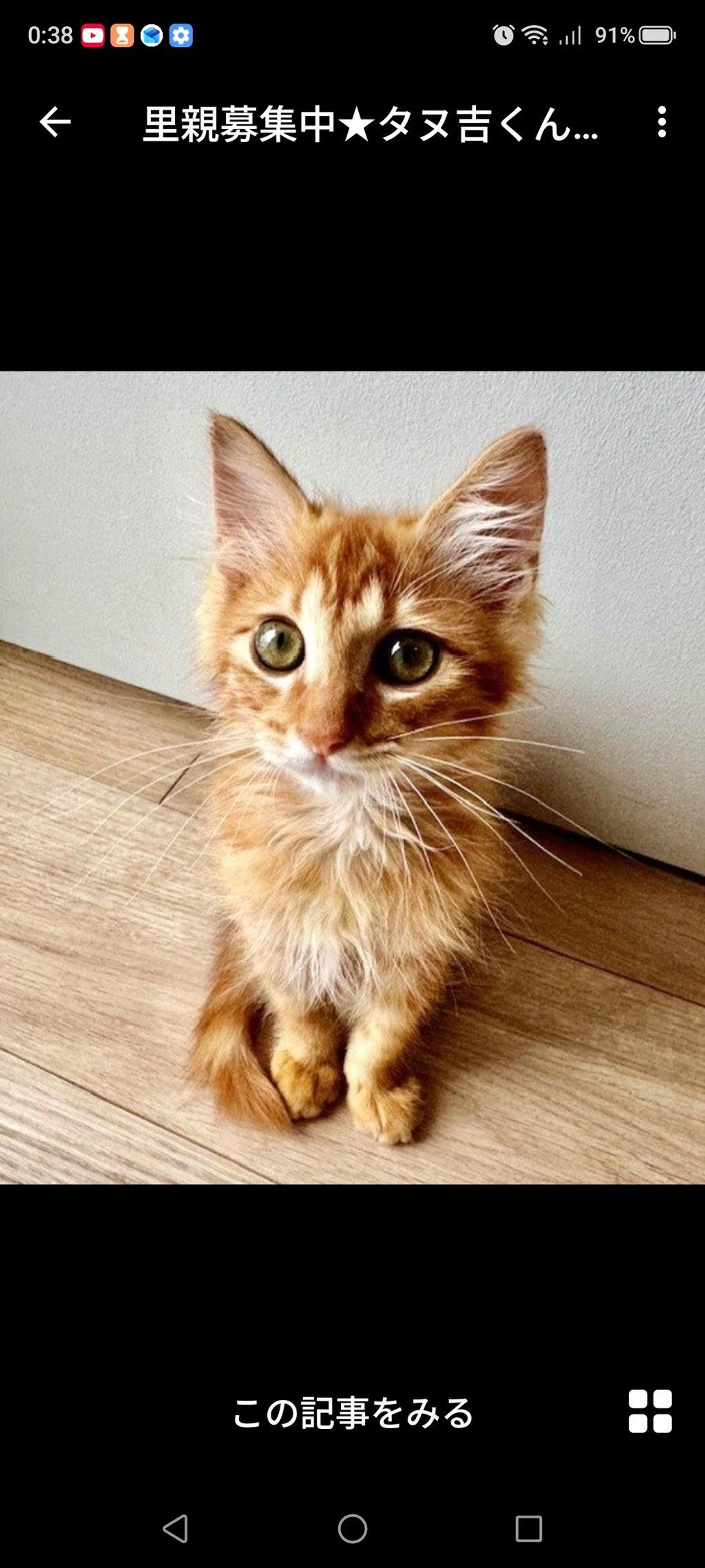 pet-image-2