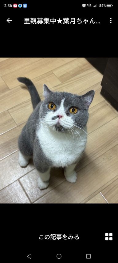 葉月ちゃんの写真