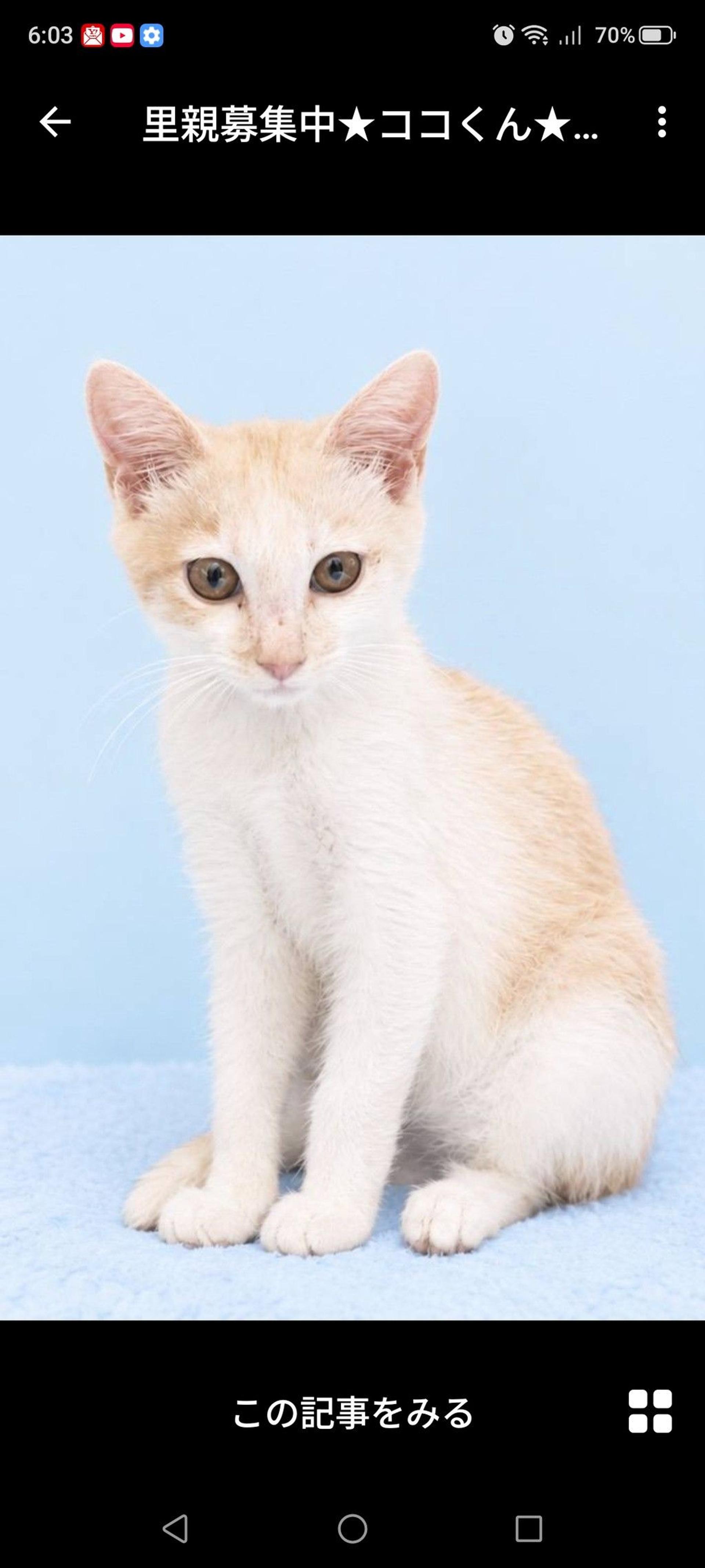 pet-image-3