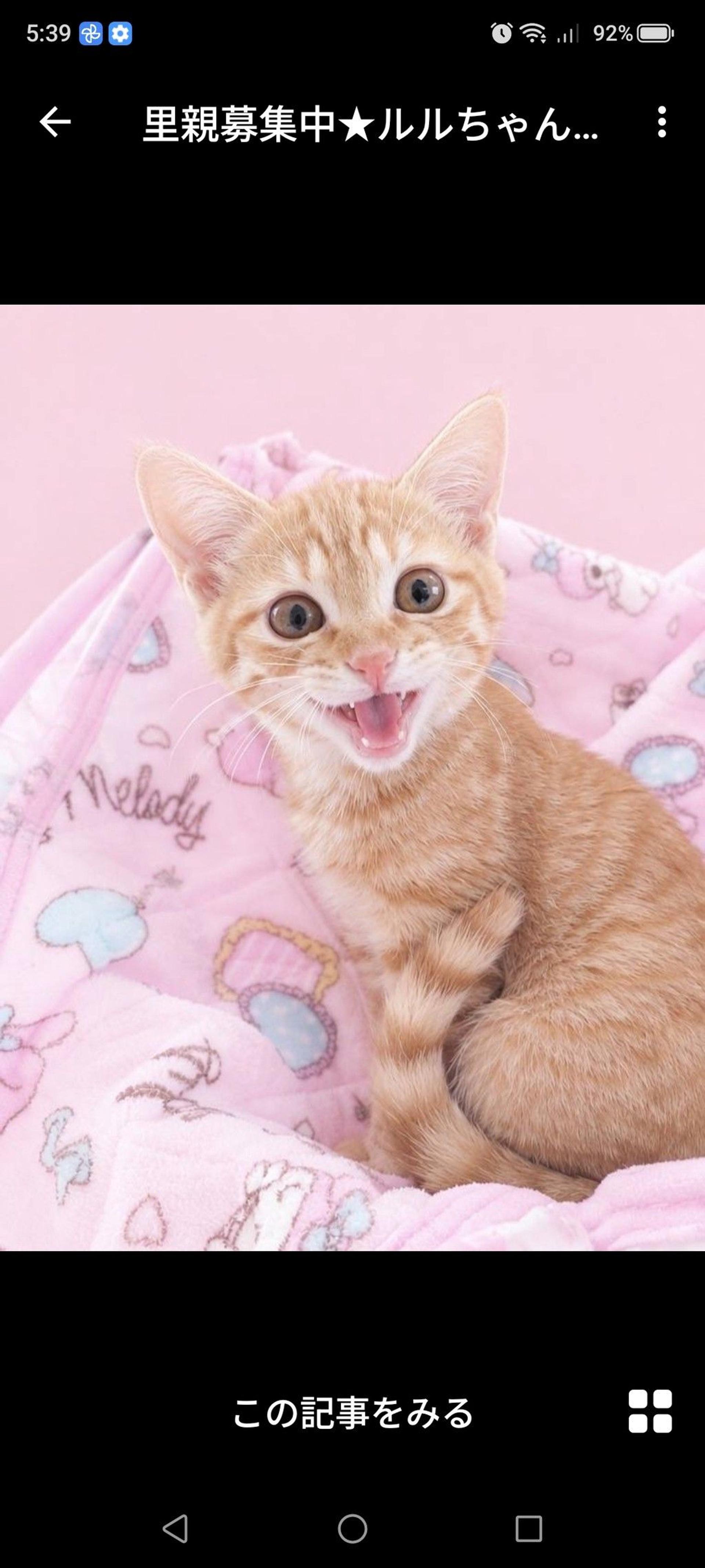 pet-image-3