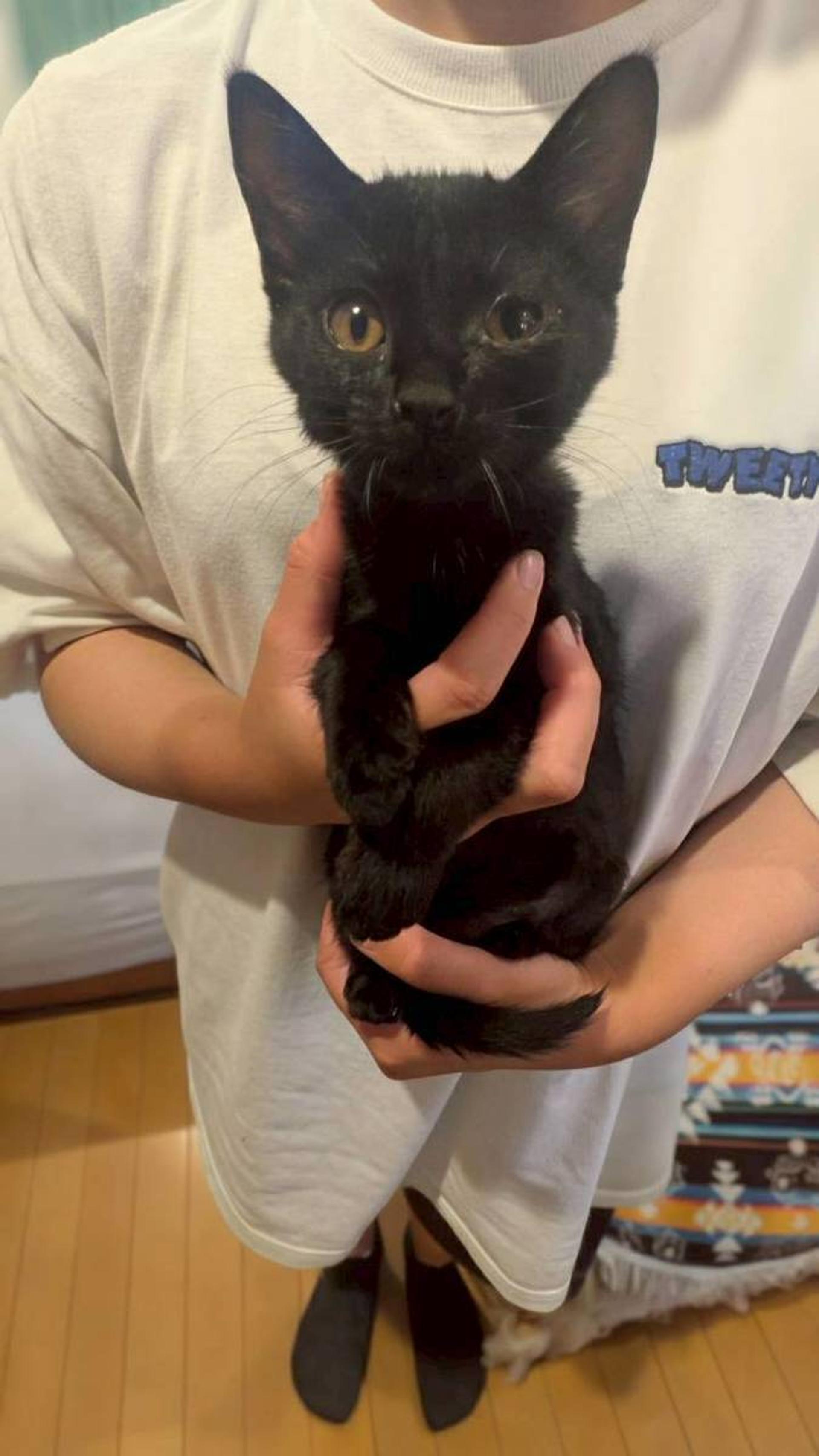 pet-image-3