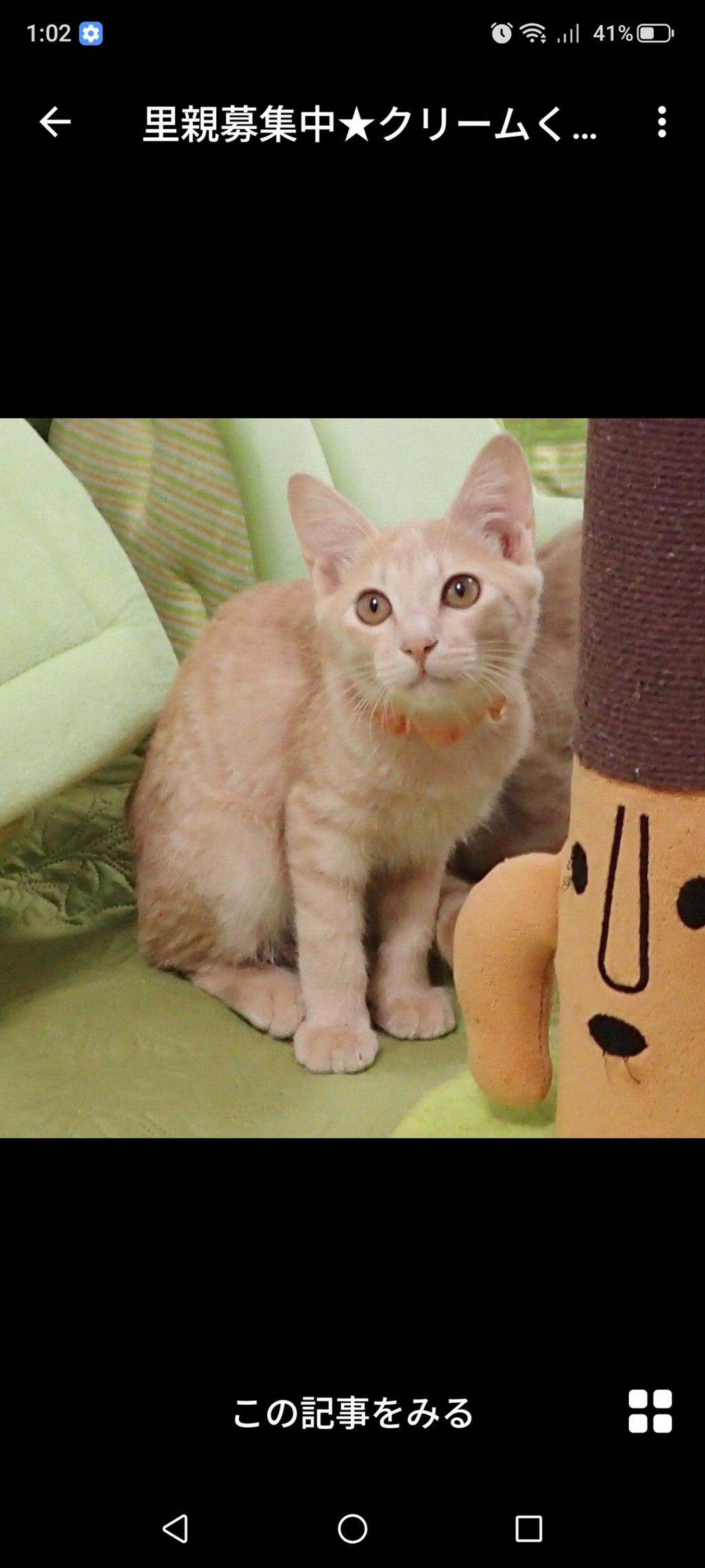 pet-image-3