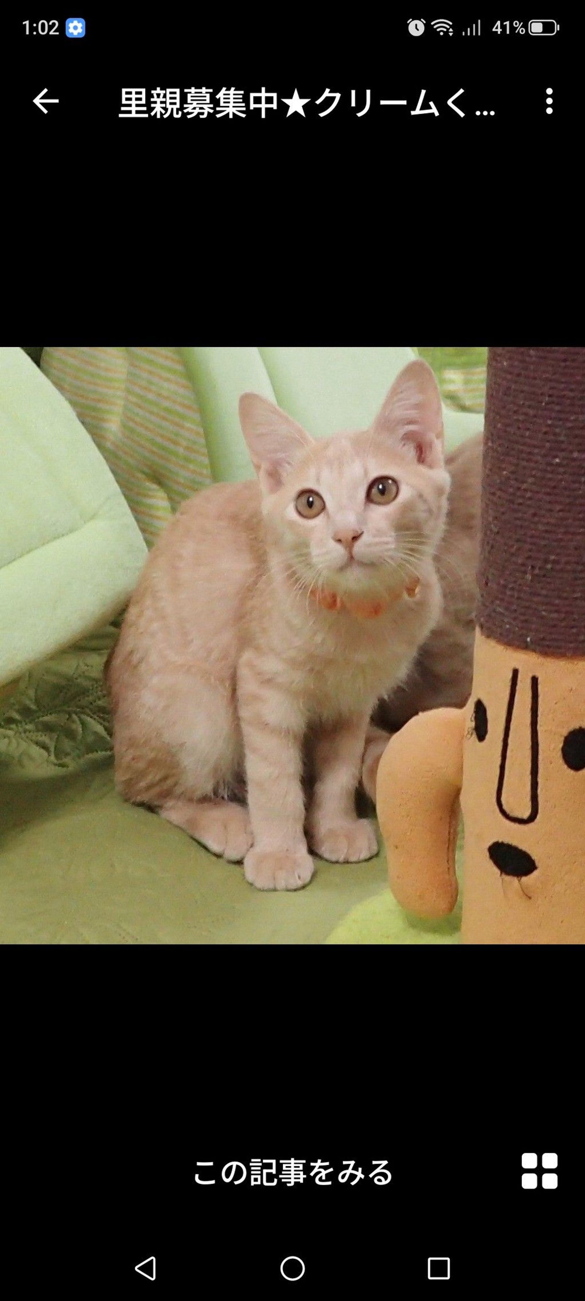 thumbnail-3