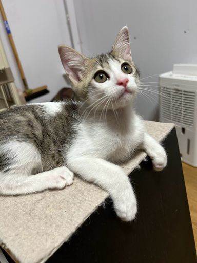 ゆうすけの写真