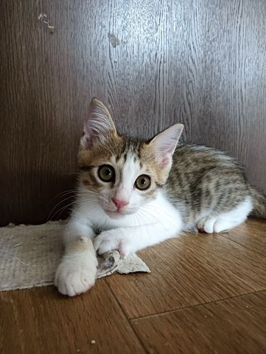 まもるの写真