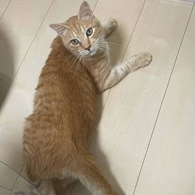 清磨呂の写真