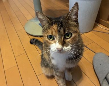ウニの写真