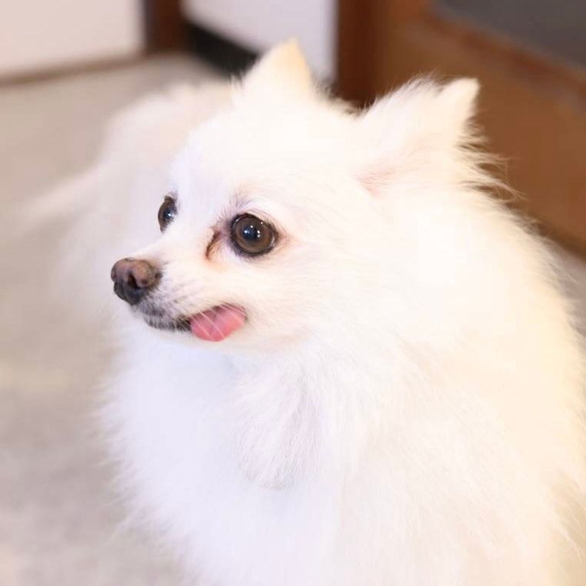 thumbnail-7