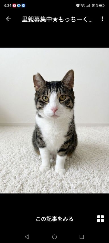 もっちーくんの写真