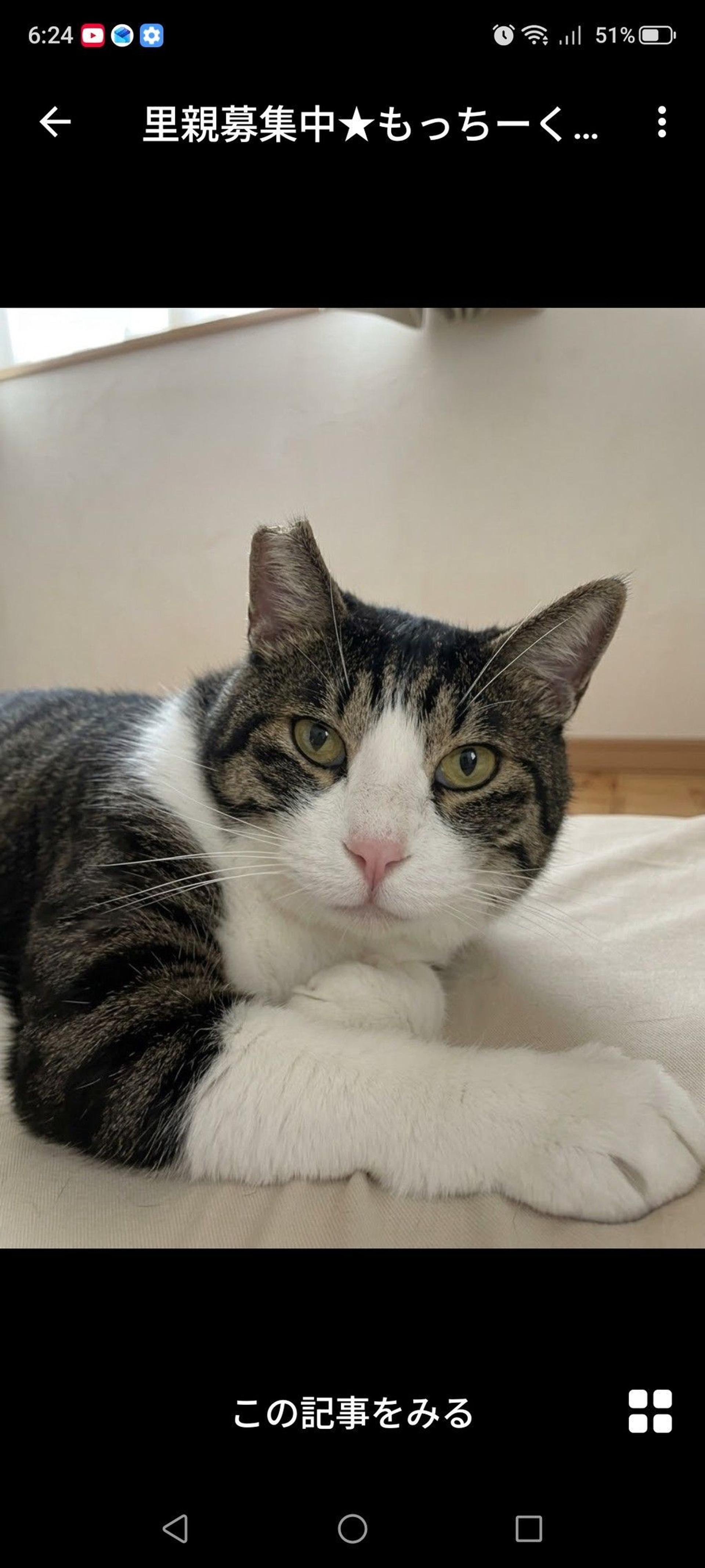 pet-image-2