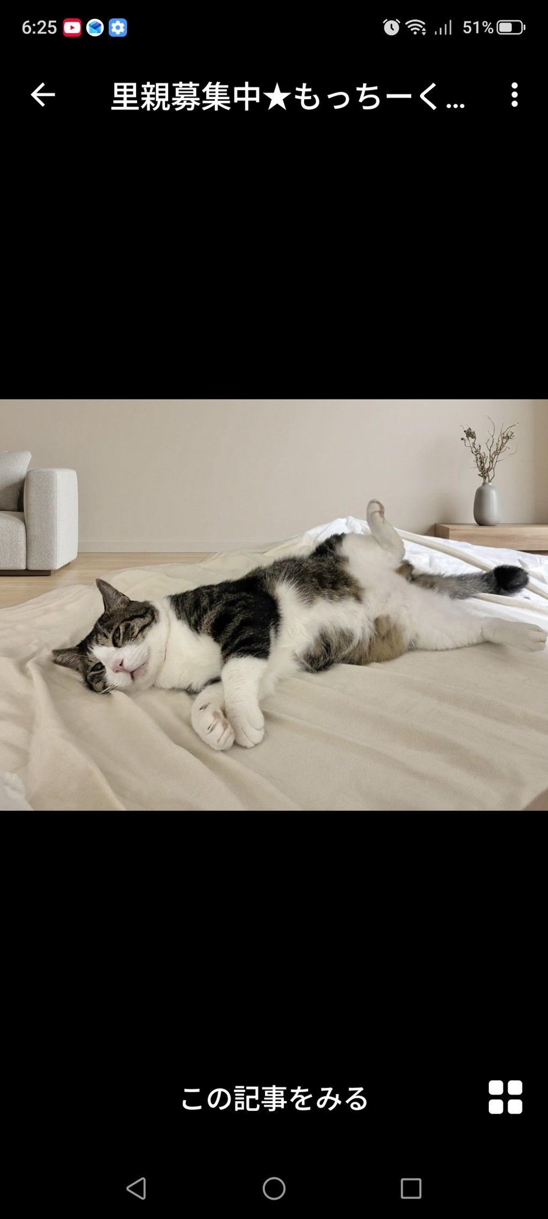 pet-image-3