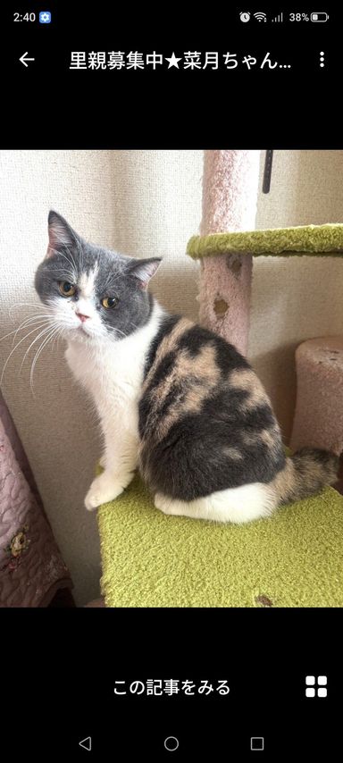 葉月ちゃんの写真