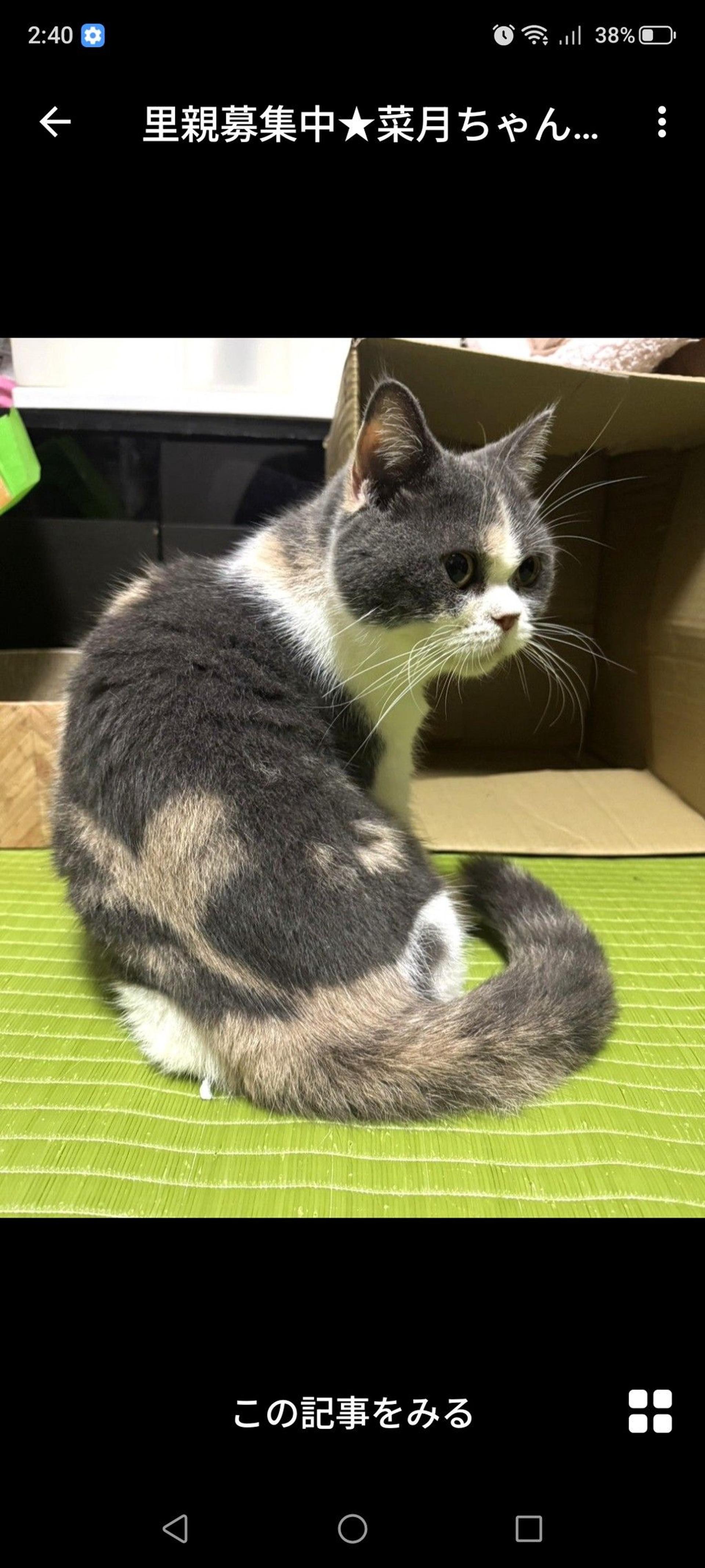 pet-image-2