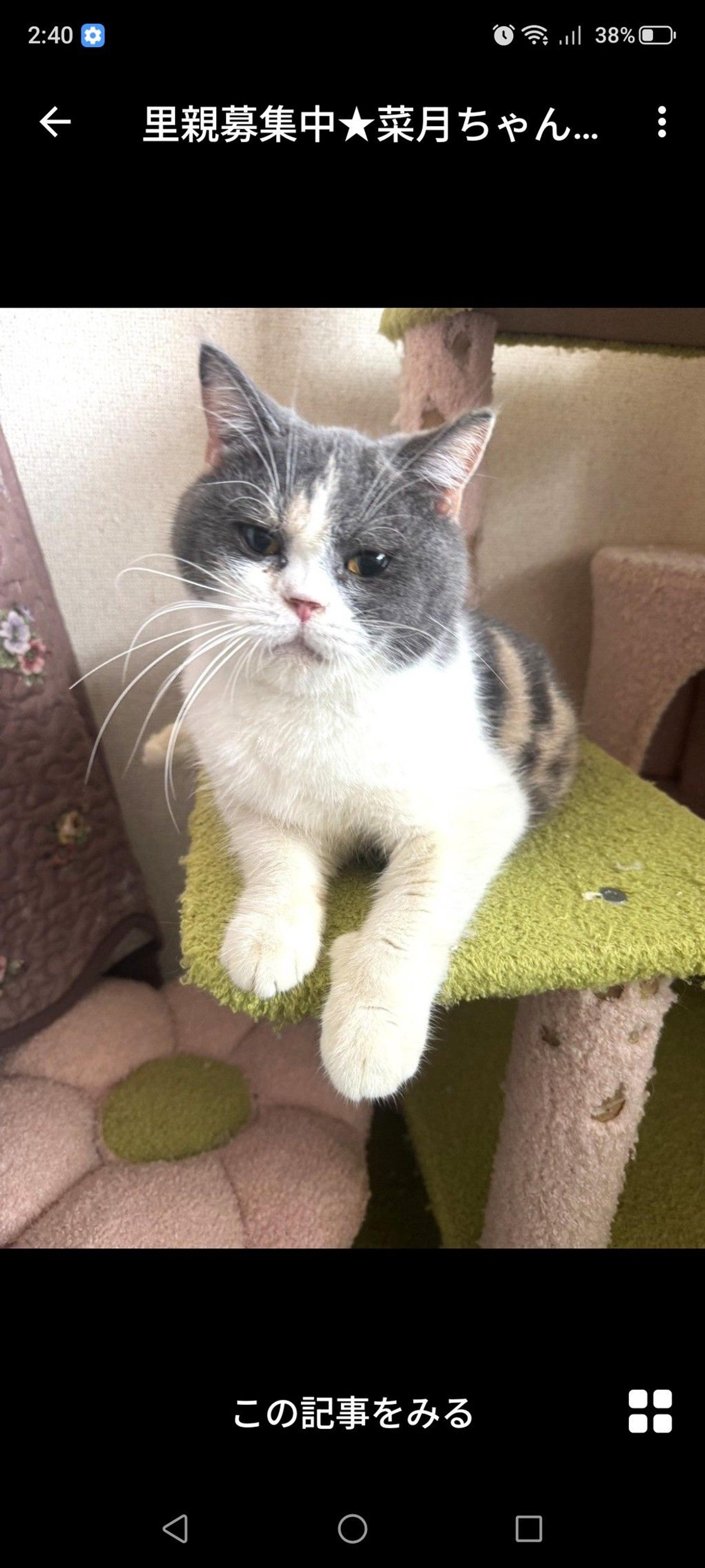 pet-image-3