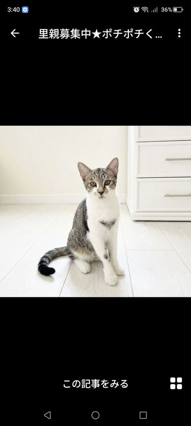 ポチポチくんの写真