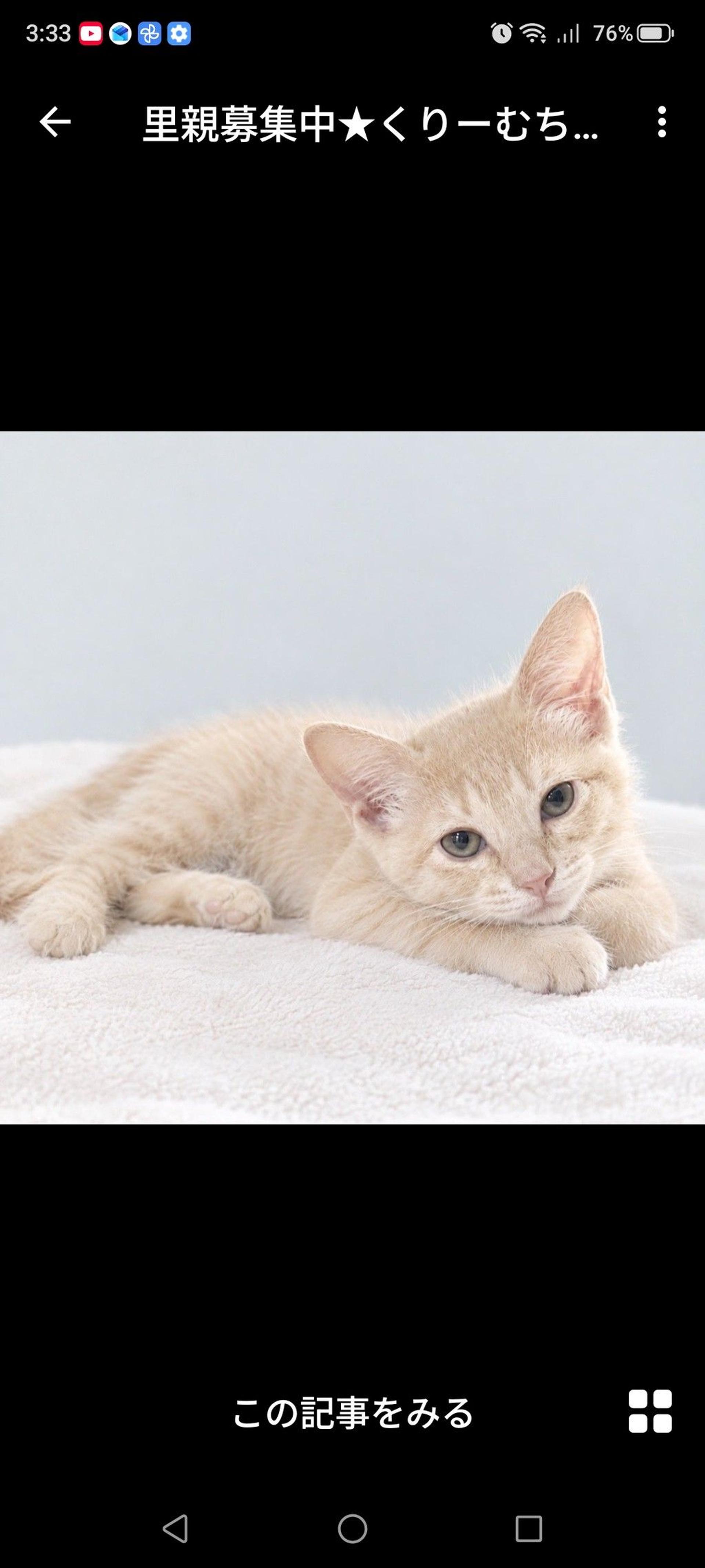 pet-image-3