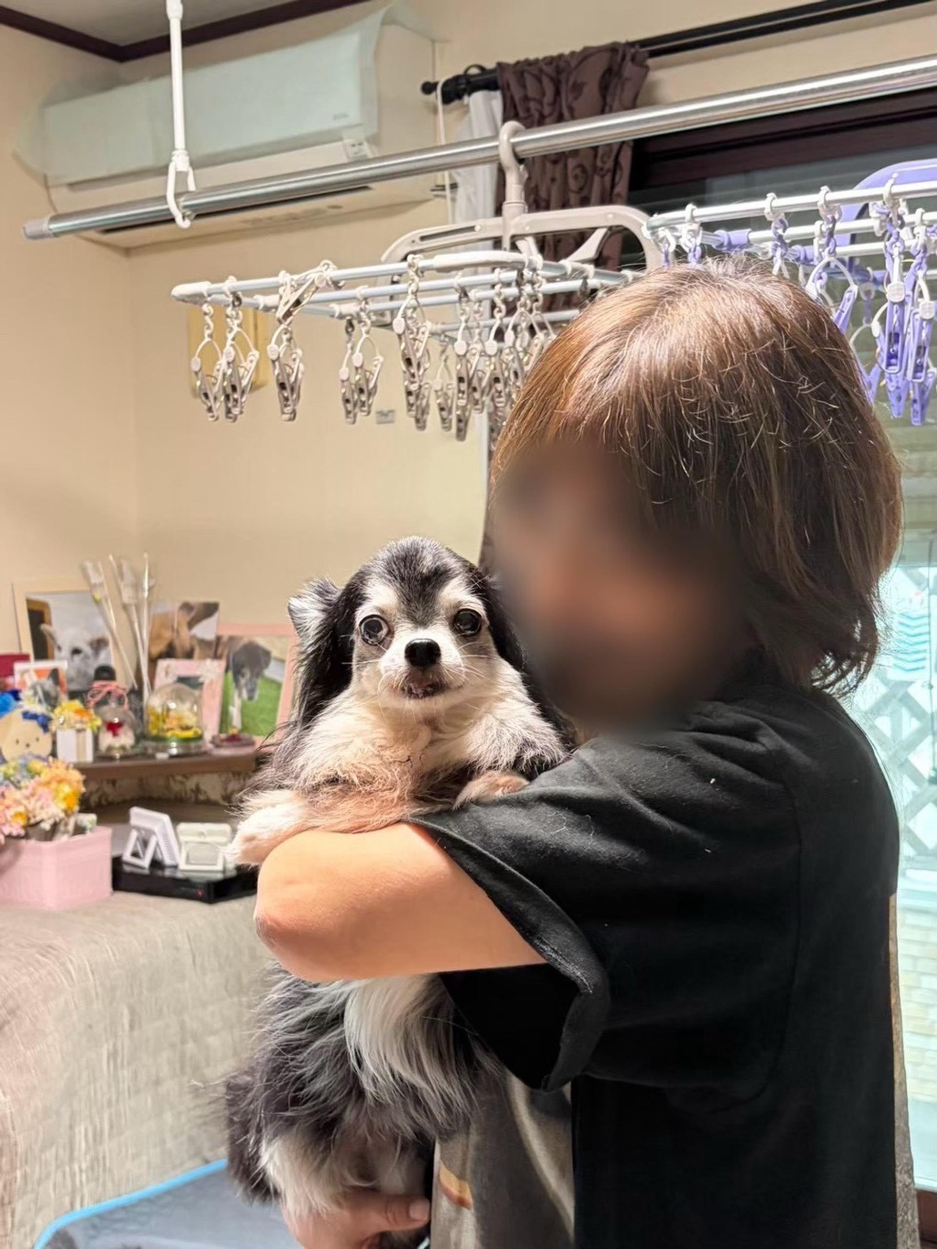 pet-image-7