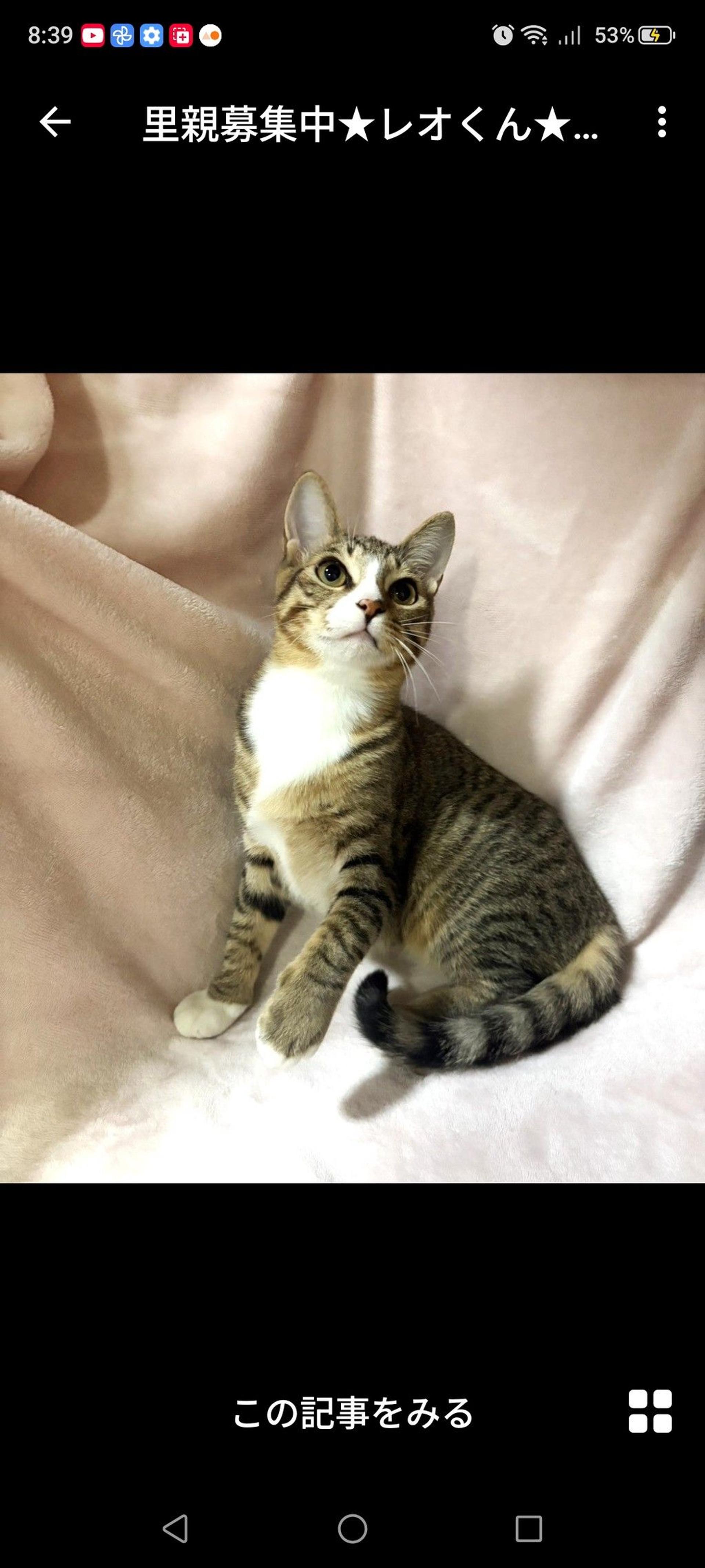 pet-image-3