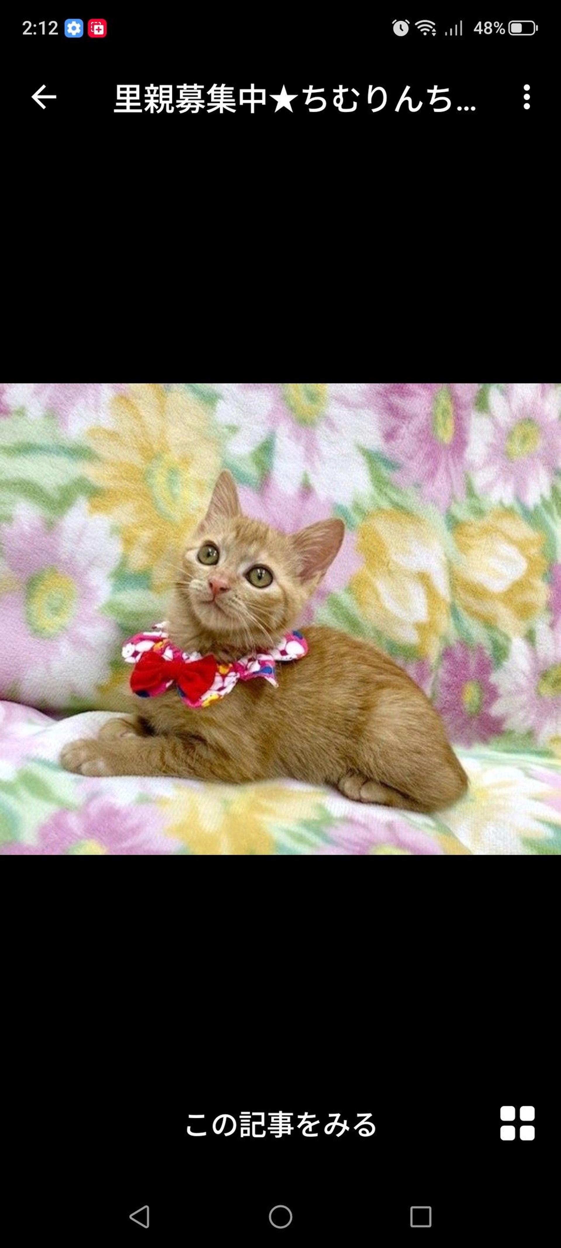 pet-image-2