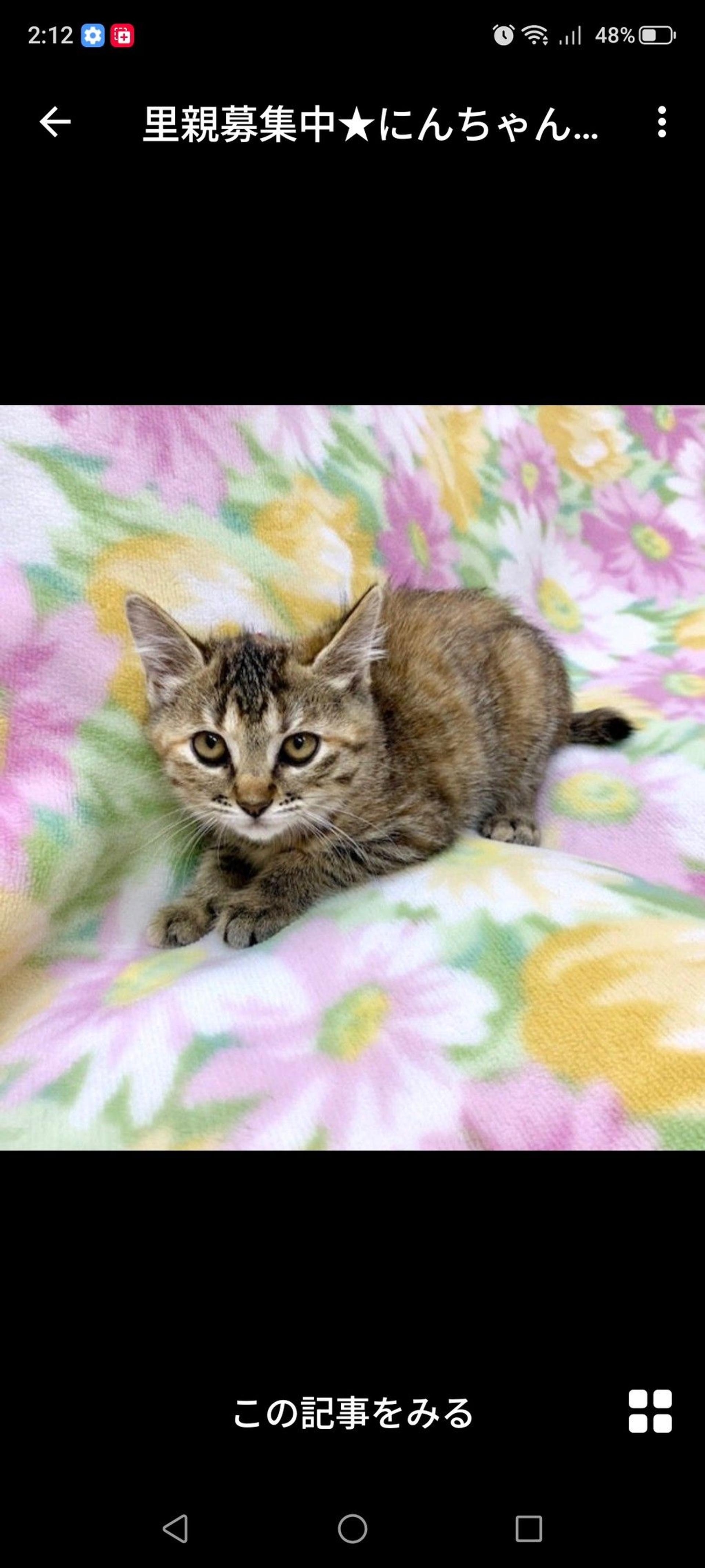pet-image-2