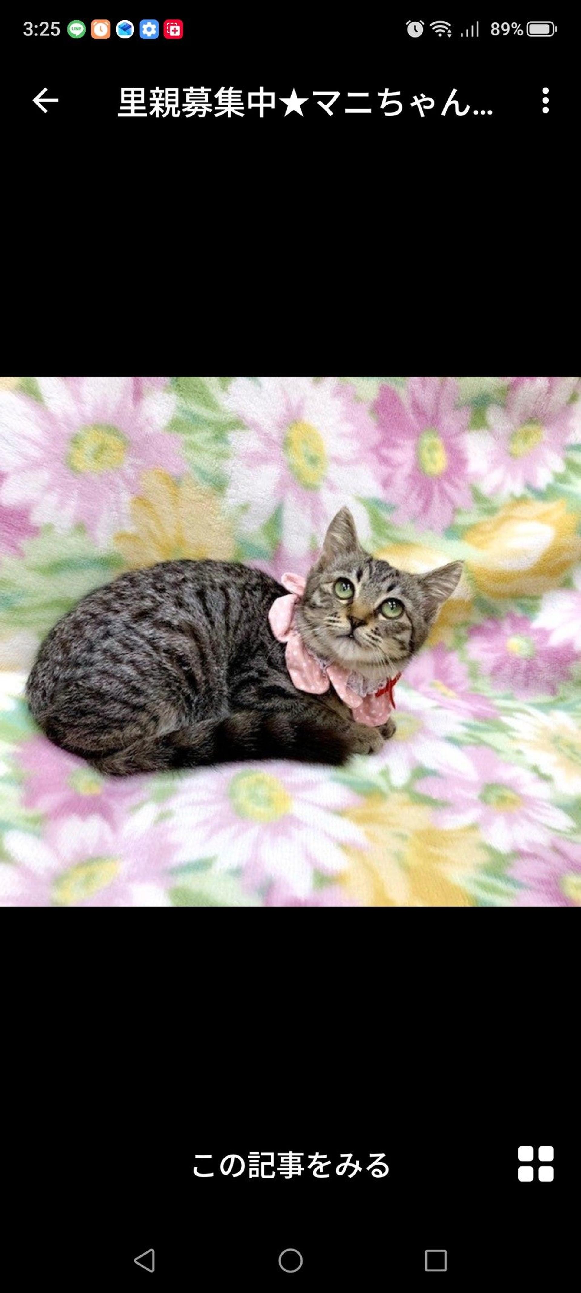 pet-image-2
