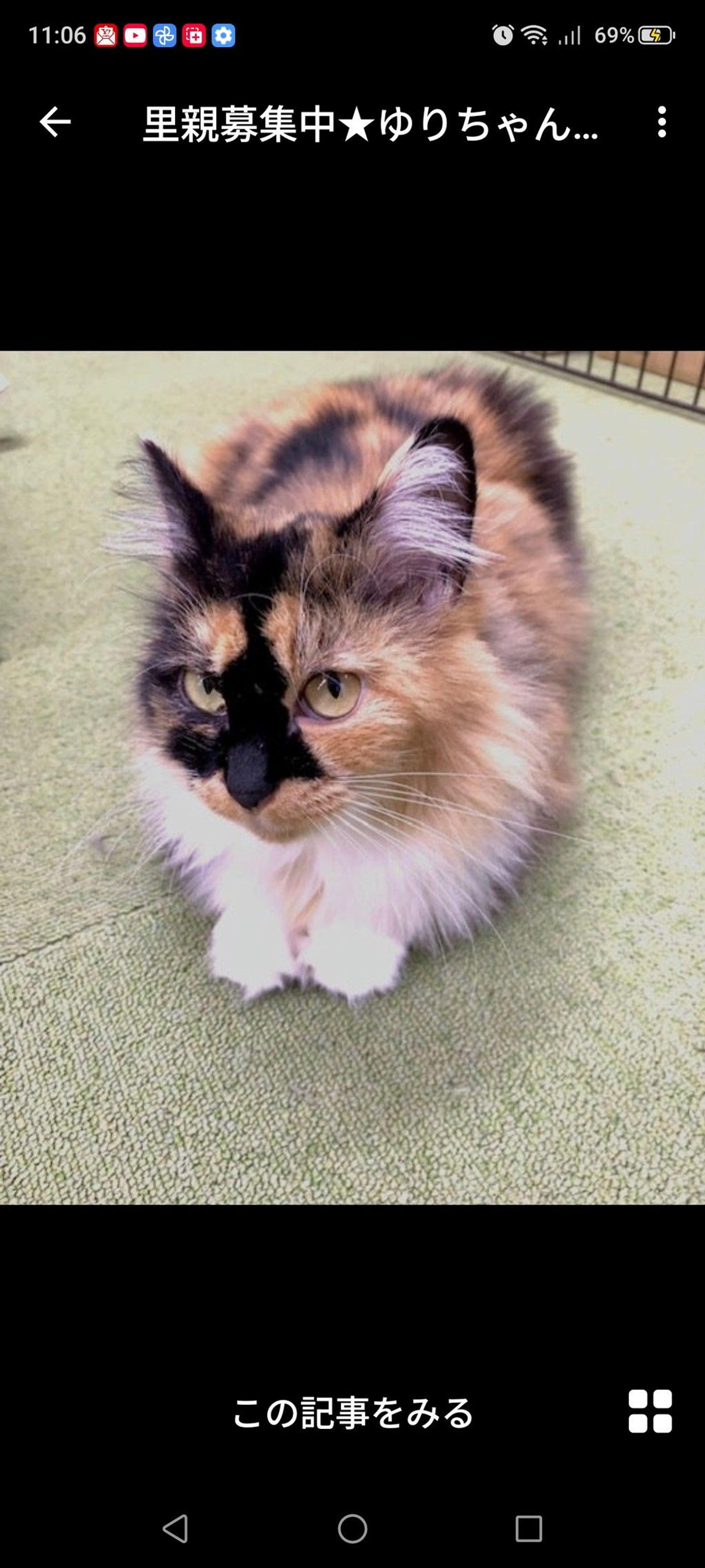 pet-image-2